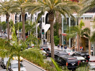 Rodeo Drive plants