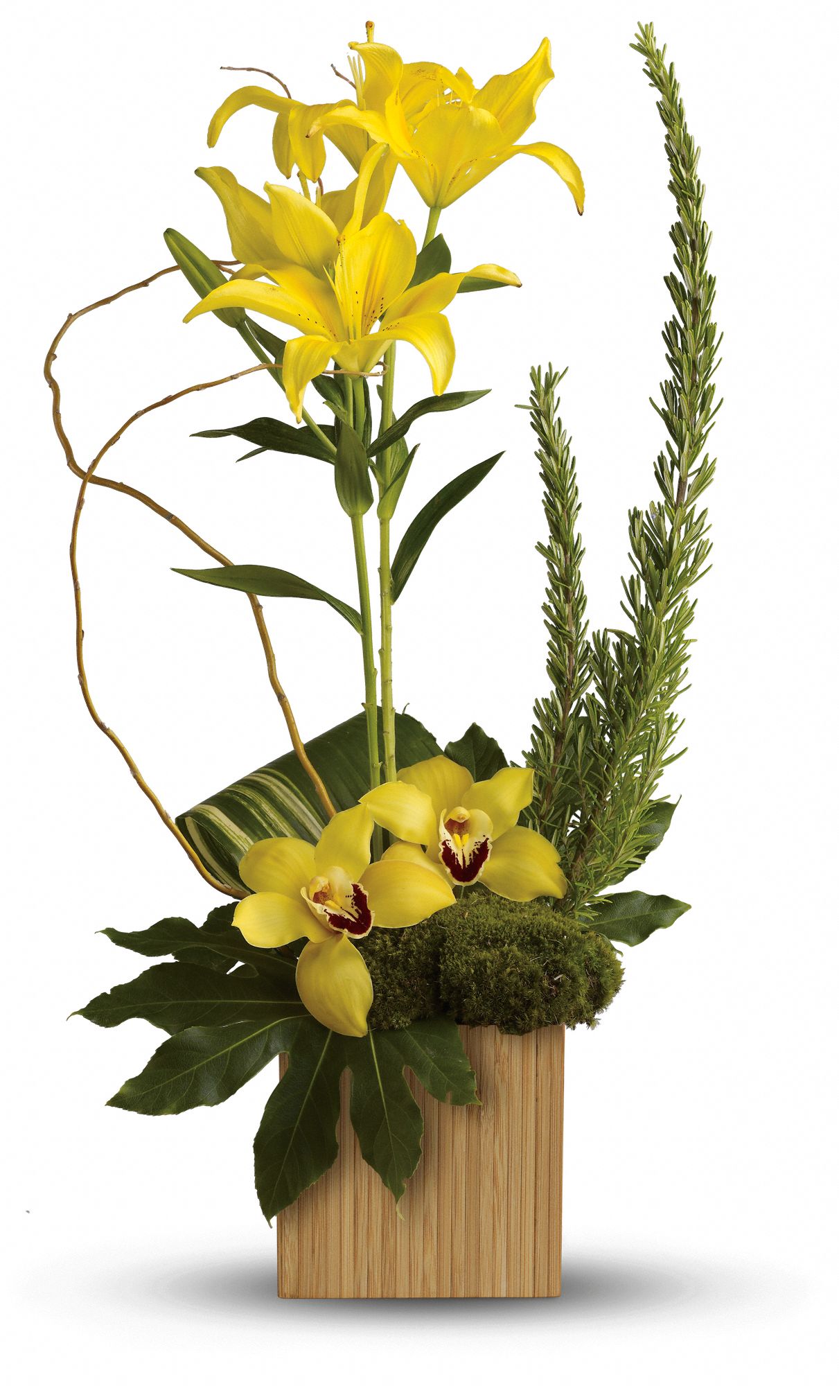 Teleflora's Bamboo Tropics Flowers