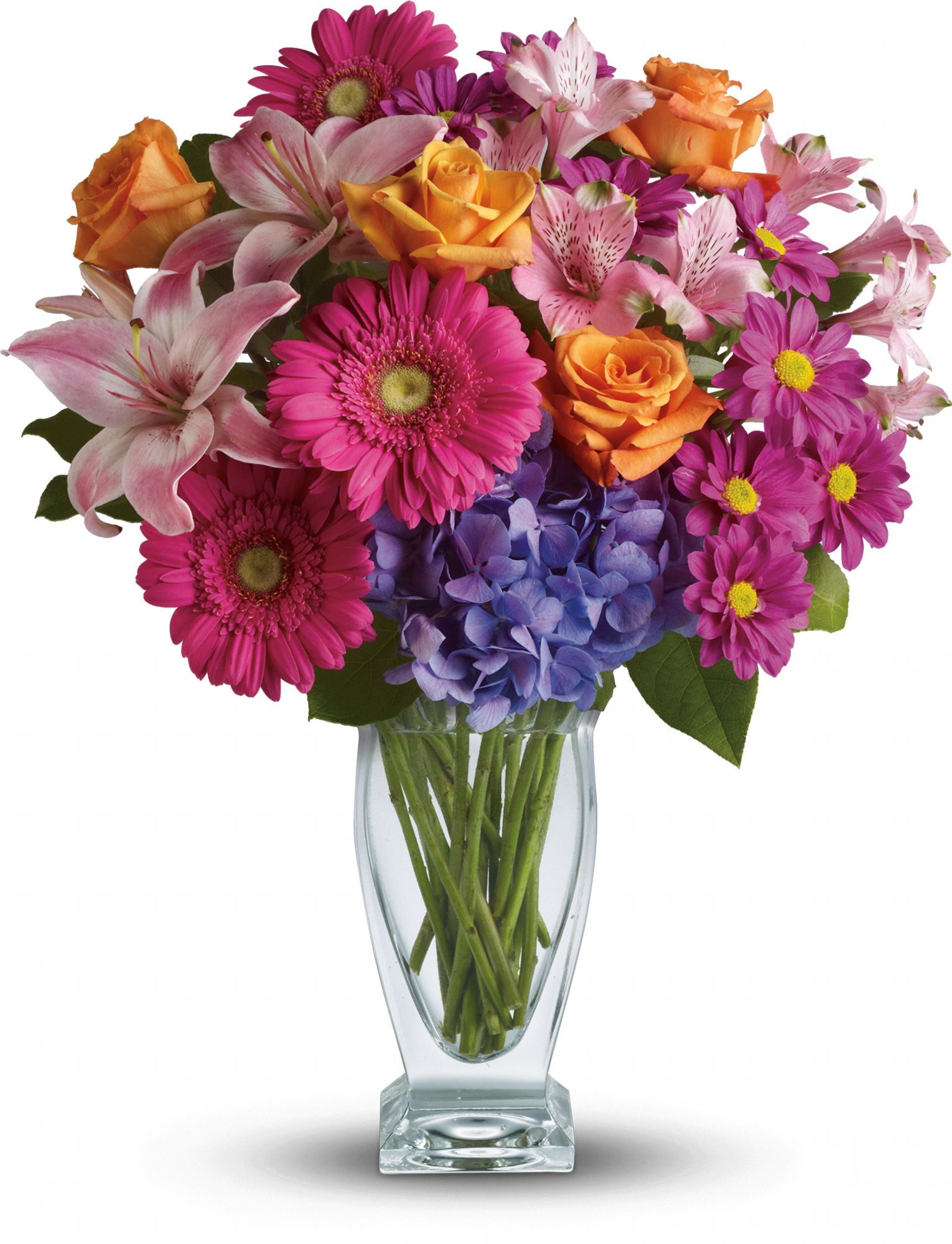 Wondrous Wishes by Teleflora Flowers