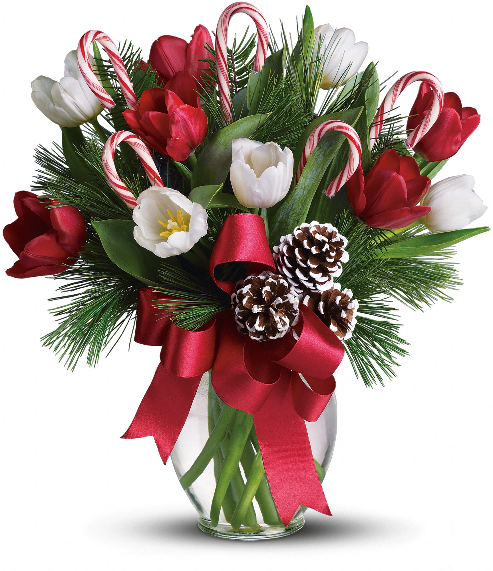 By Golly It's Jolly Flowers