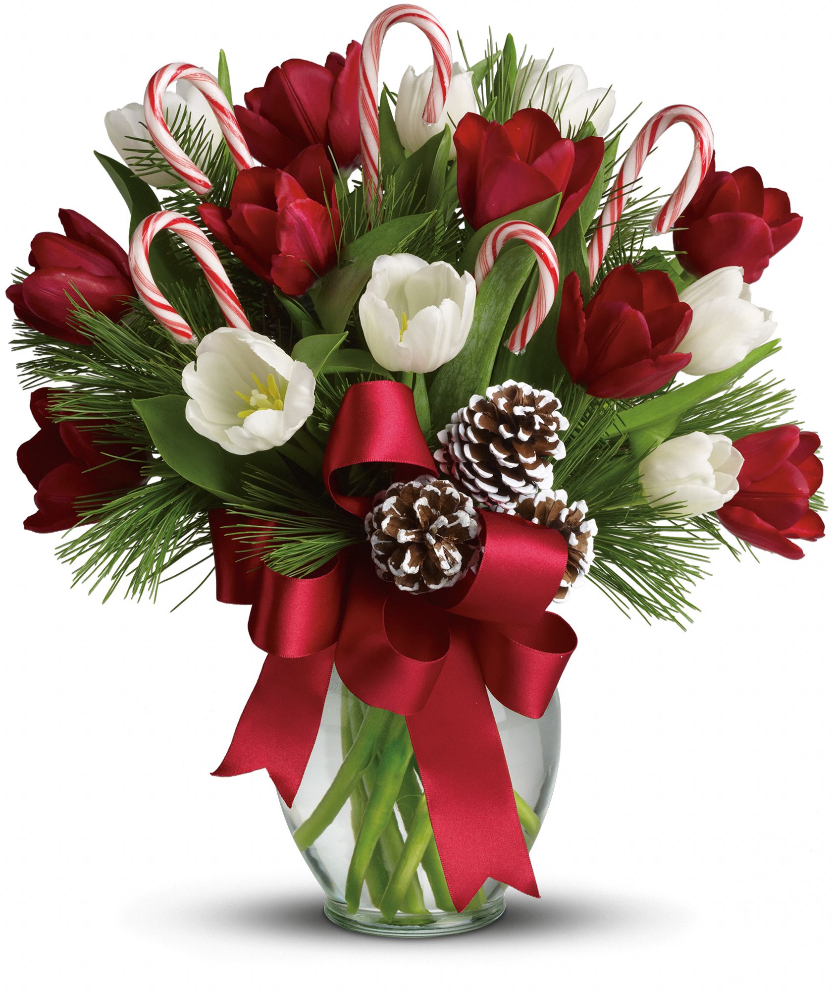 By Golly It's Jolly Flowers