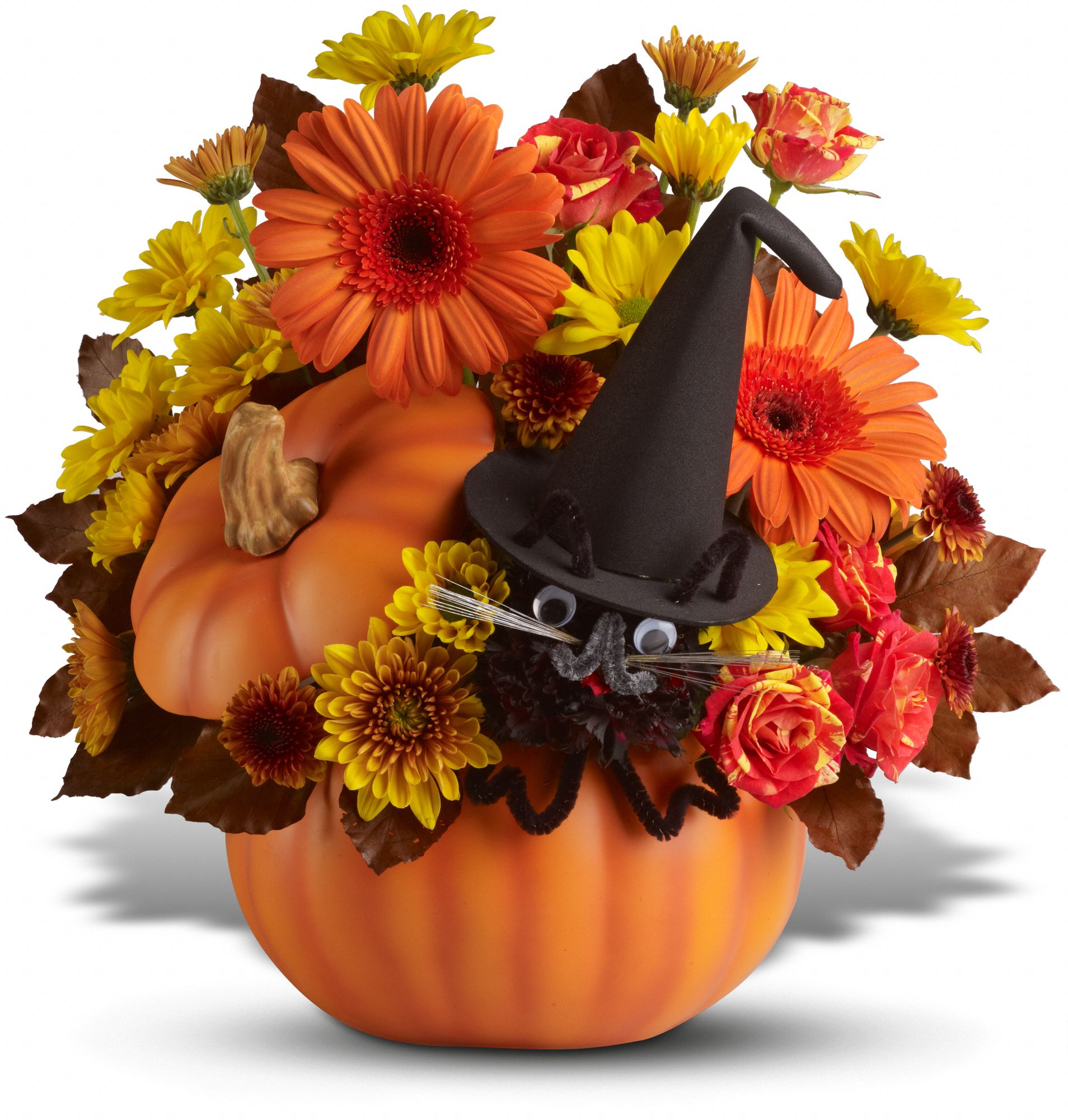 Teleflora's Bewitched Cat Bouquet Flowers