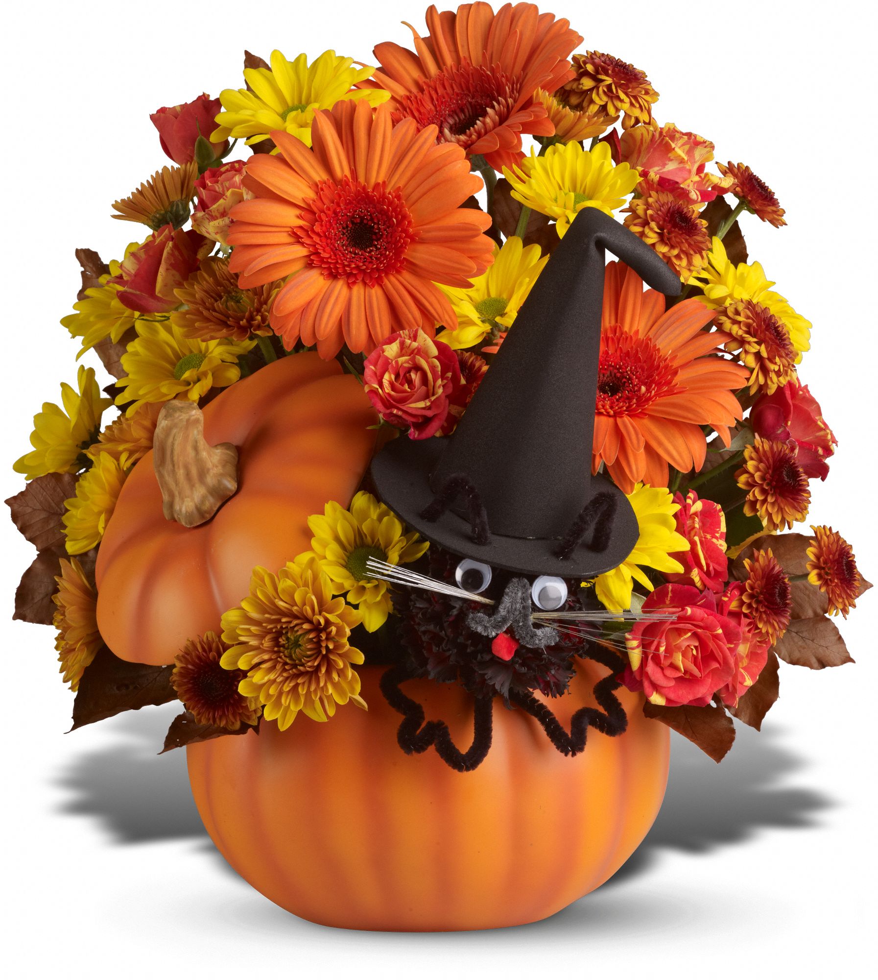 Teleflora's Bewitched Cat Bouquet Flowers