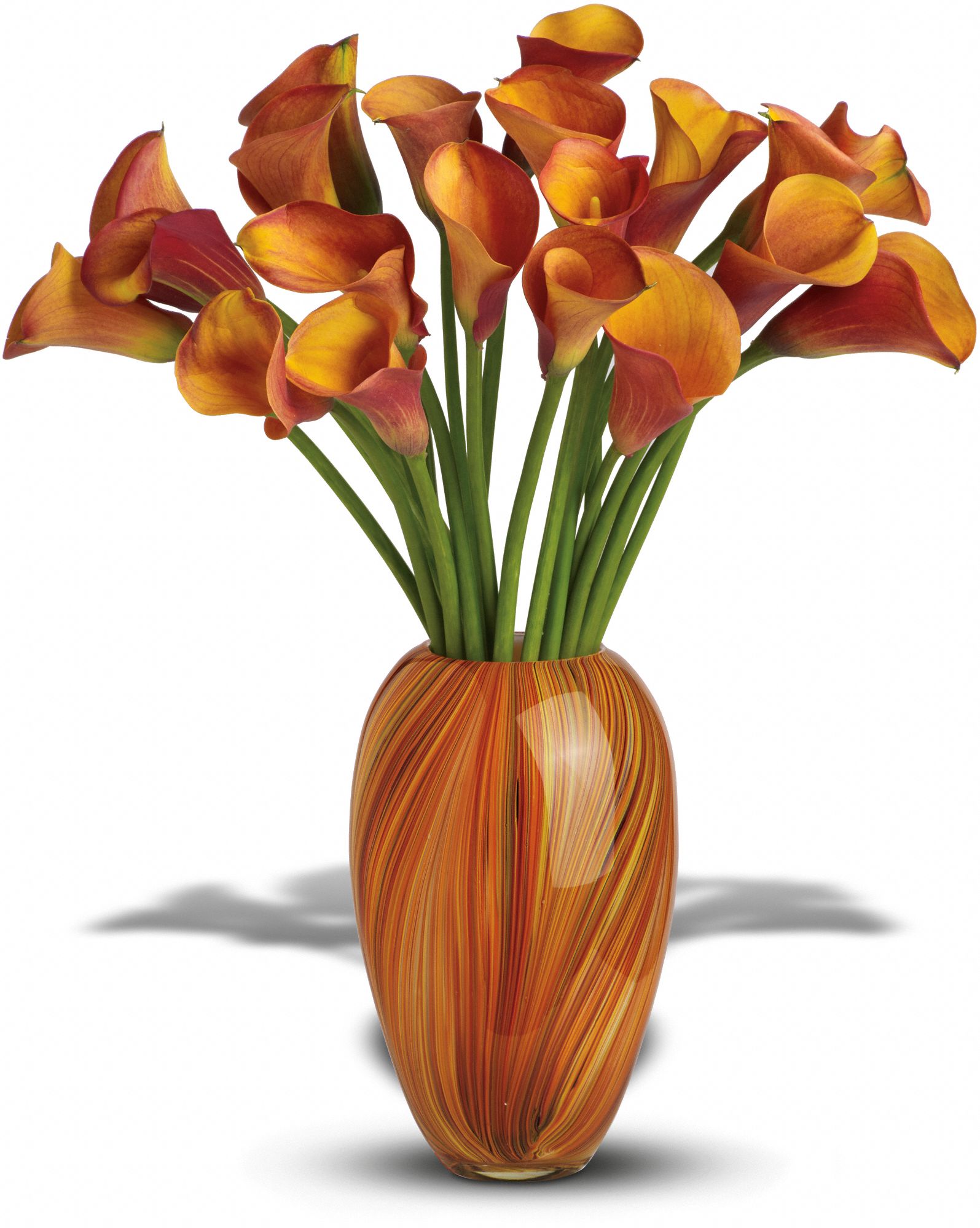 Teleflora's Glorious Grandeur Bouquet Flowers