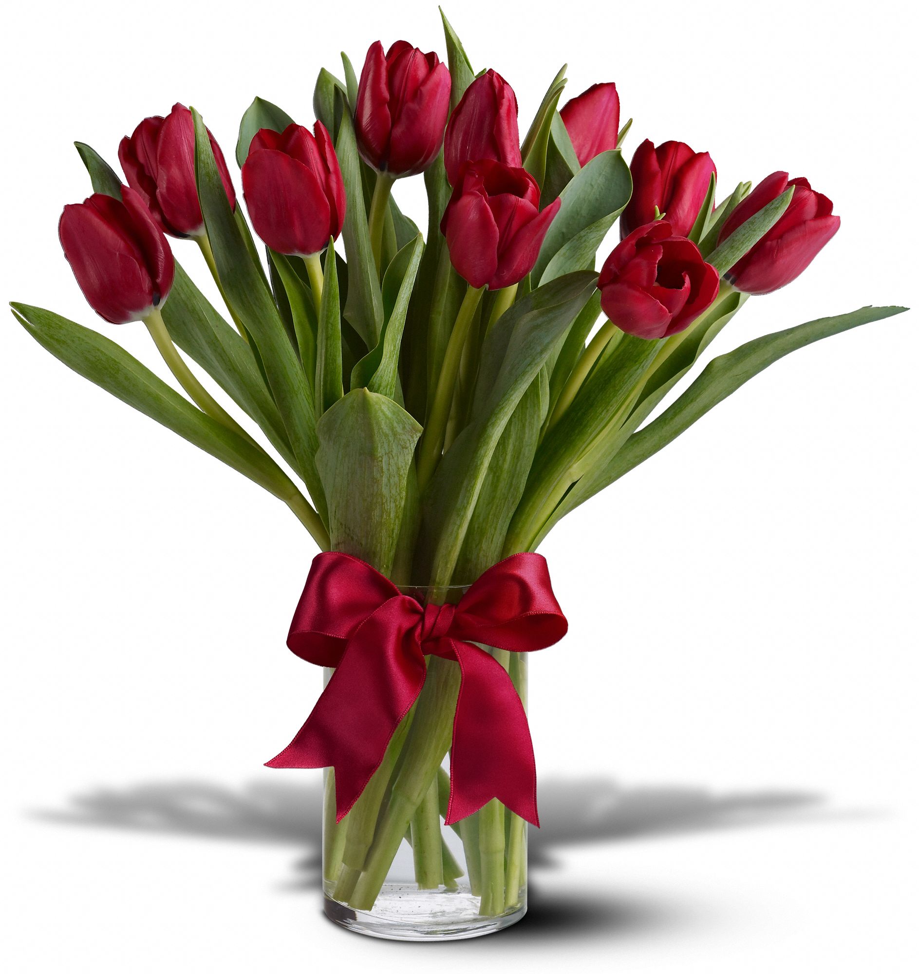 Radiantly Red Tulips Flowers