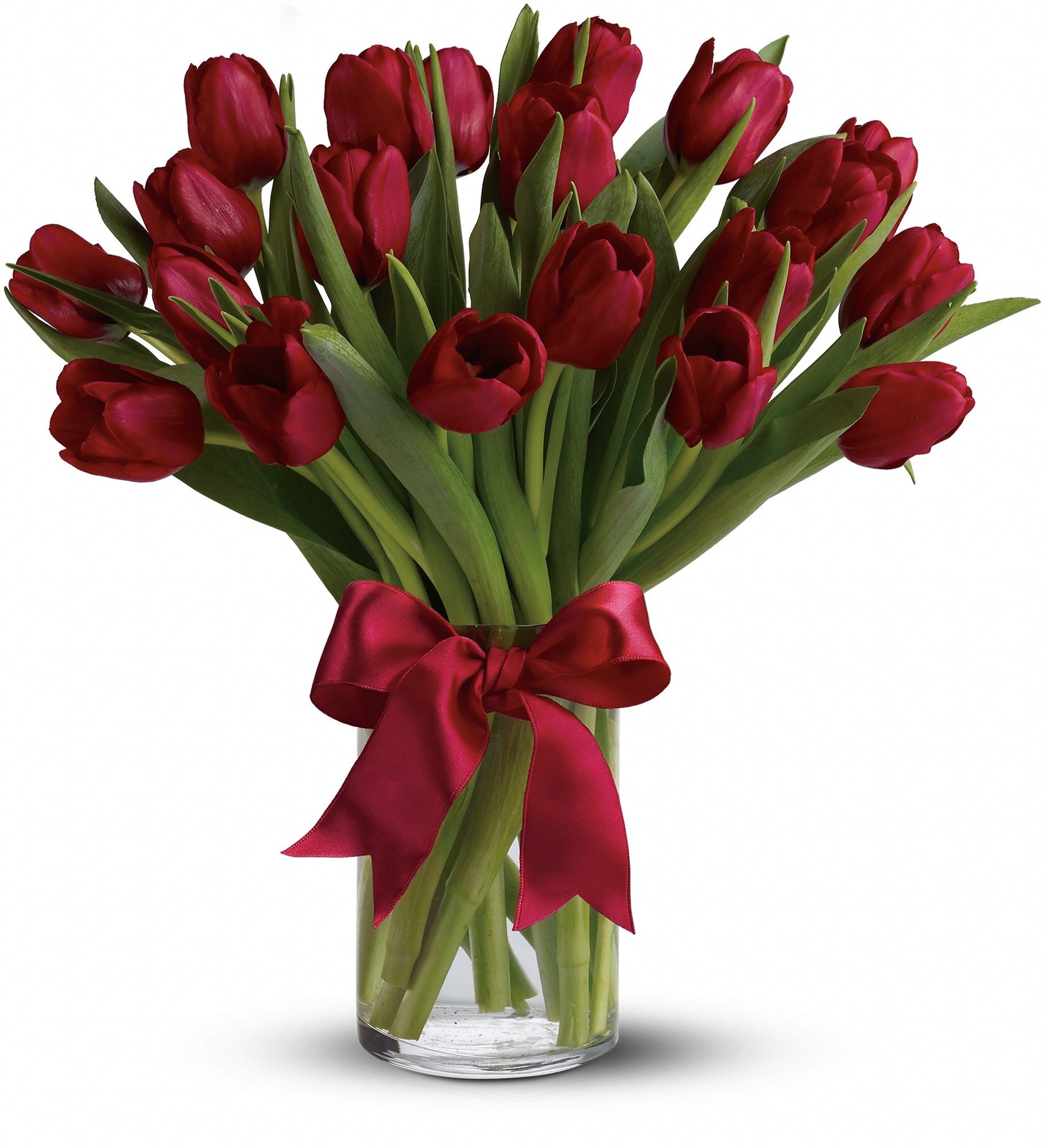 Radiantly Red Tulips Flowers