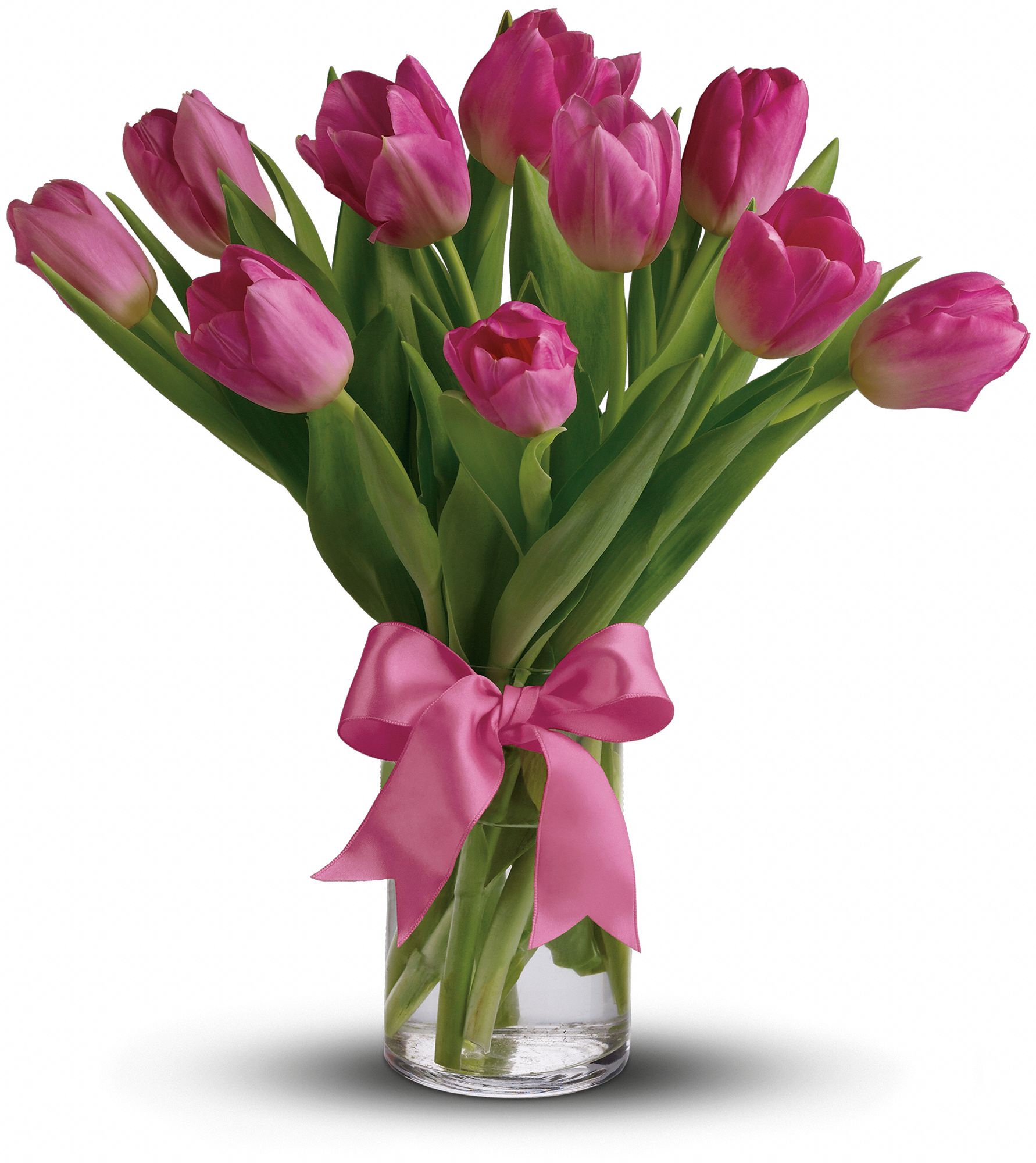 Precious Pink Tulips Flowers
