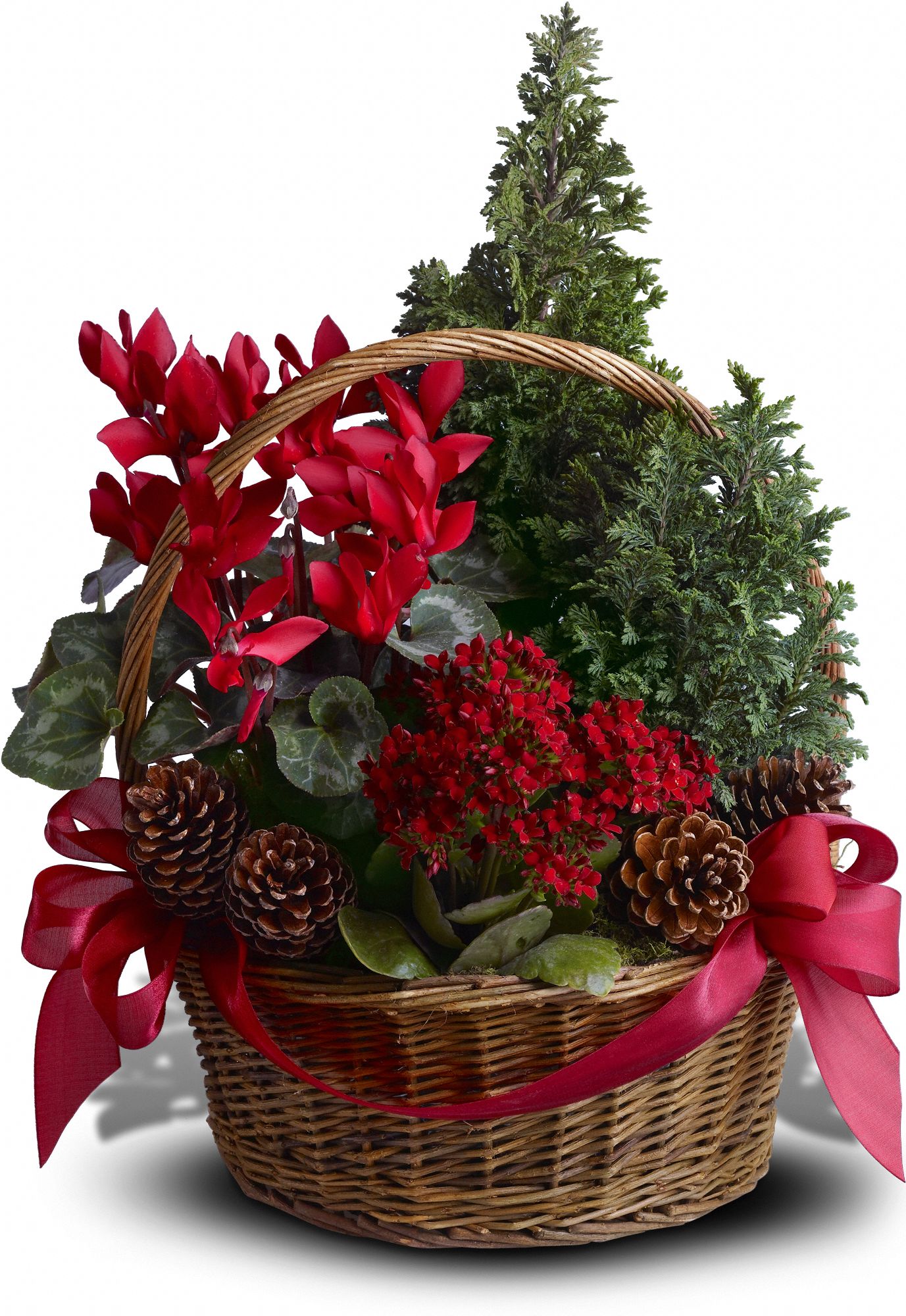 Tannenbaum Basket Flowers