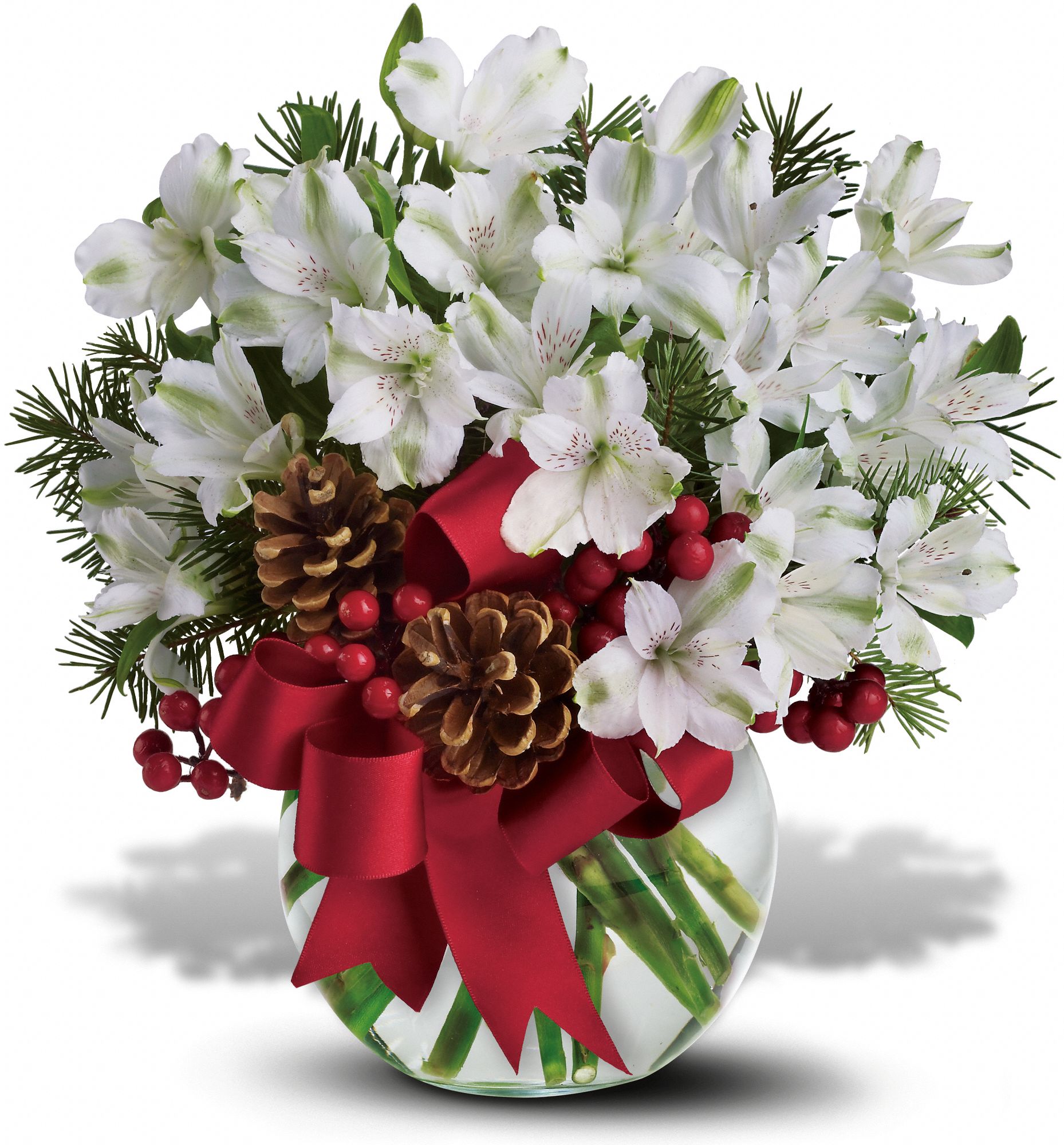 Let It Snow Flowers