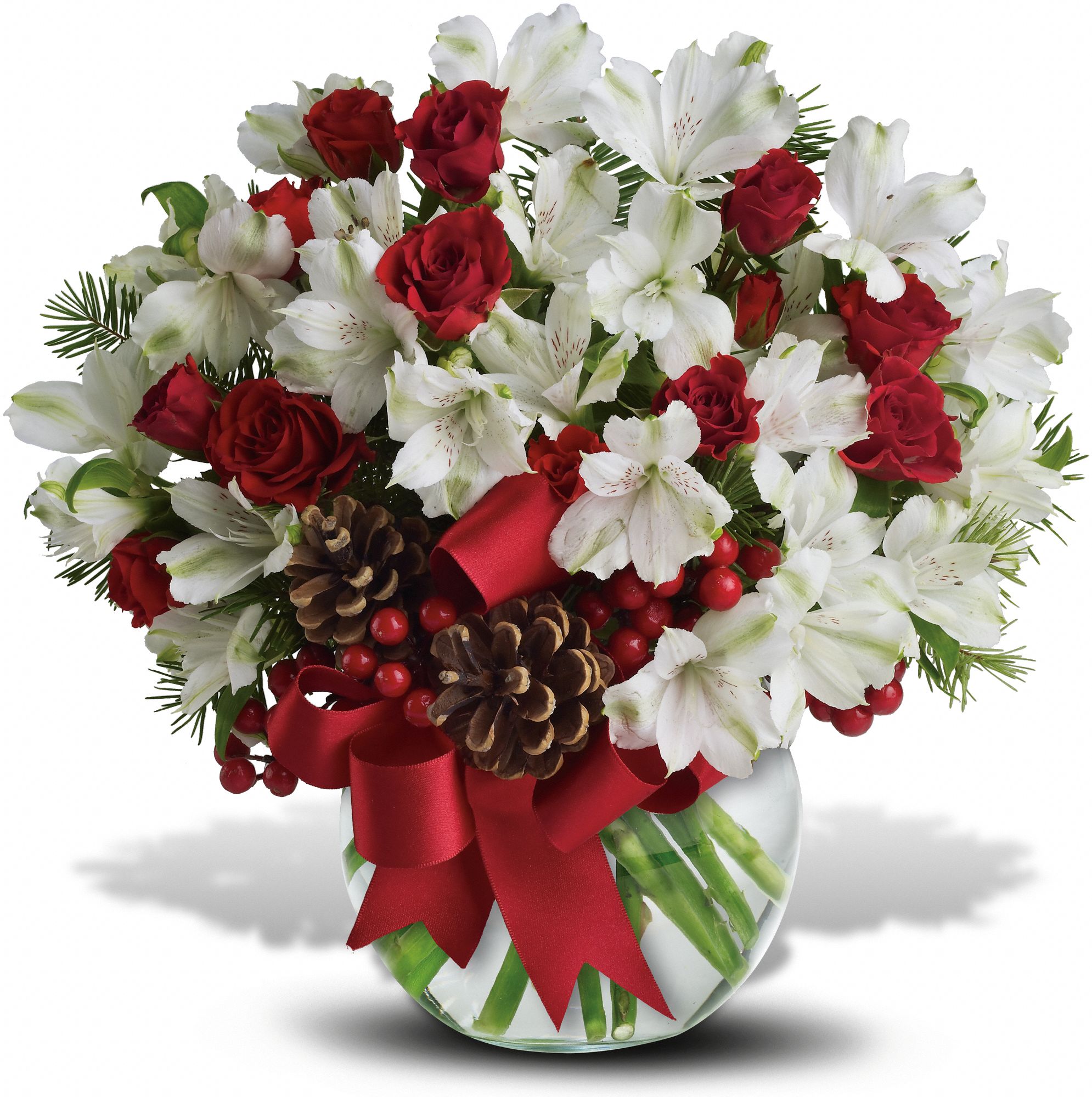Let It Snow DX Flowers