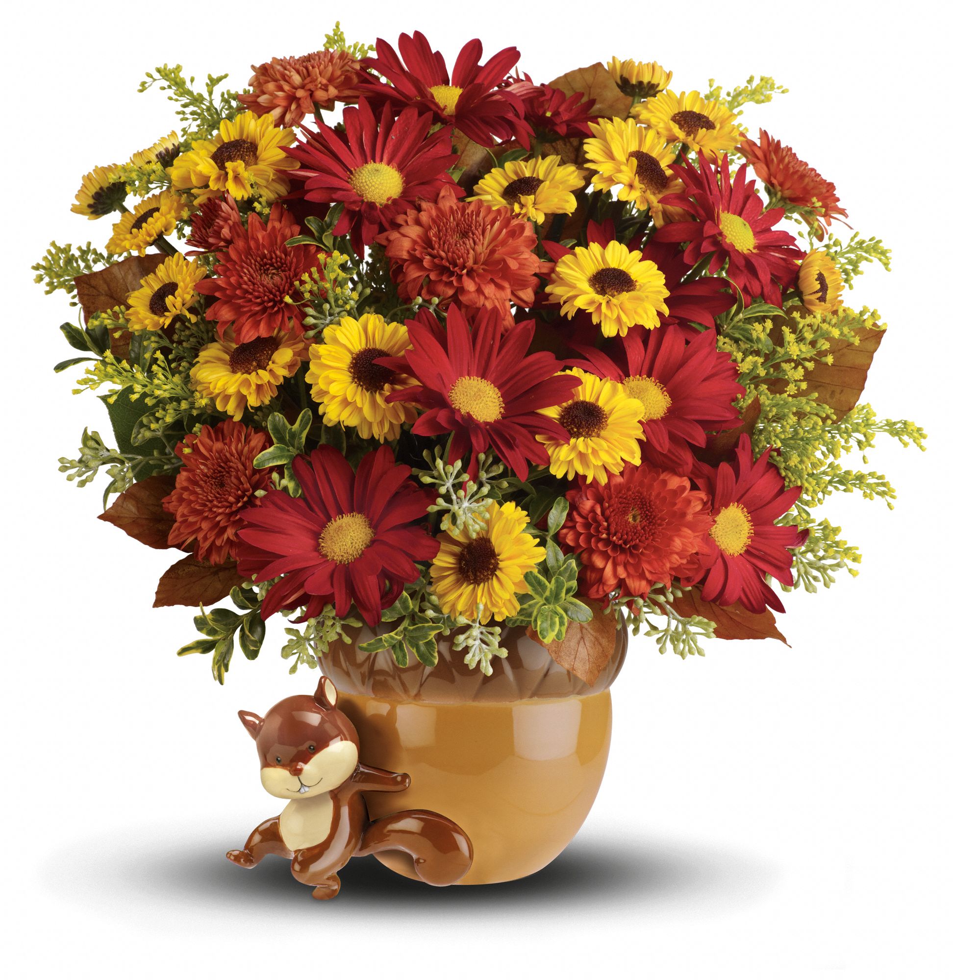 Teleflora's Send a Hug Squirrel Away Bouquet DX Flowers