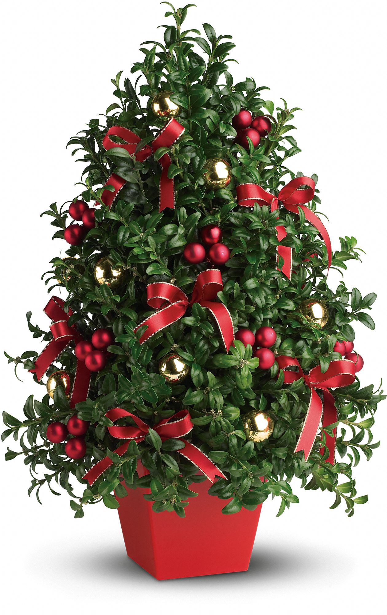 Deck the Halls Tree Flowers