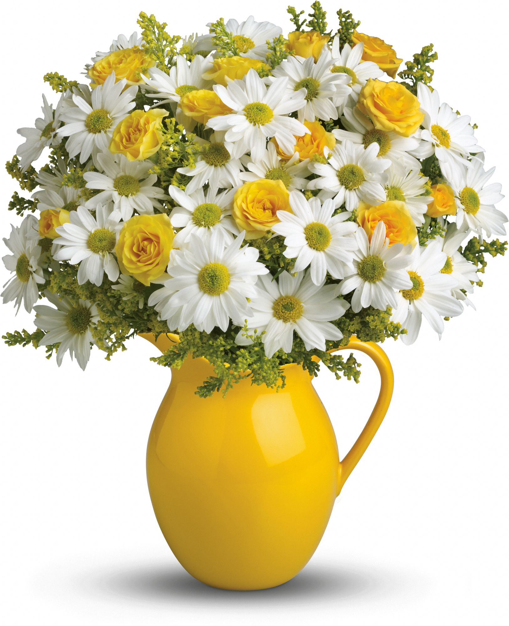 Teleflora's Sunny Day Pitcher of Daisies Flowers