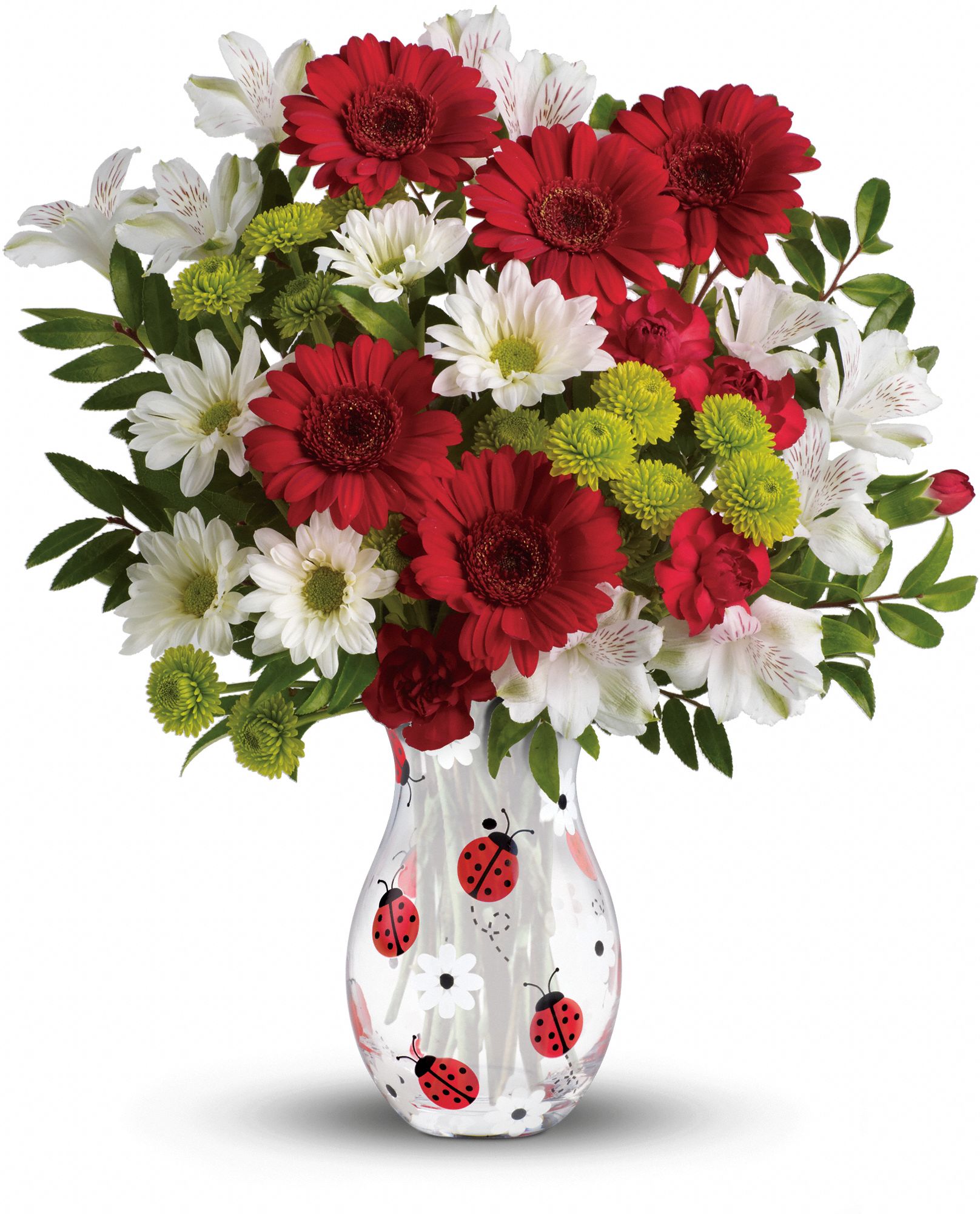 Teleflora's Lovely Ladybug Bouquet Flowers
