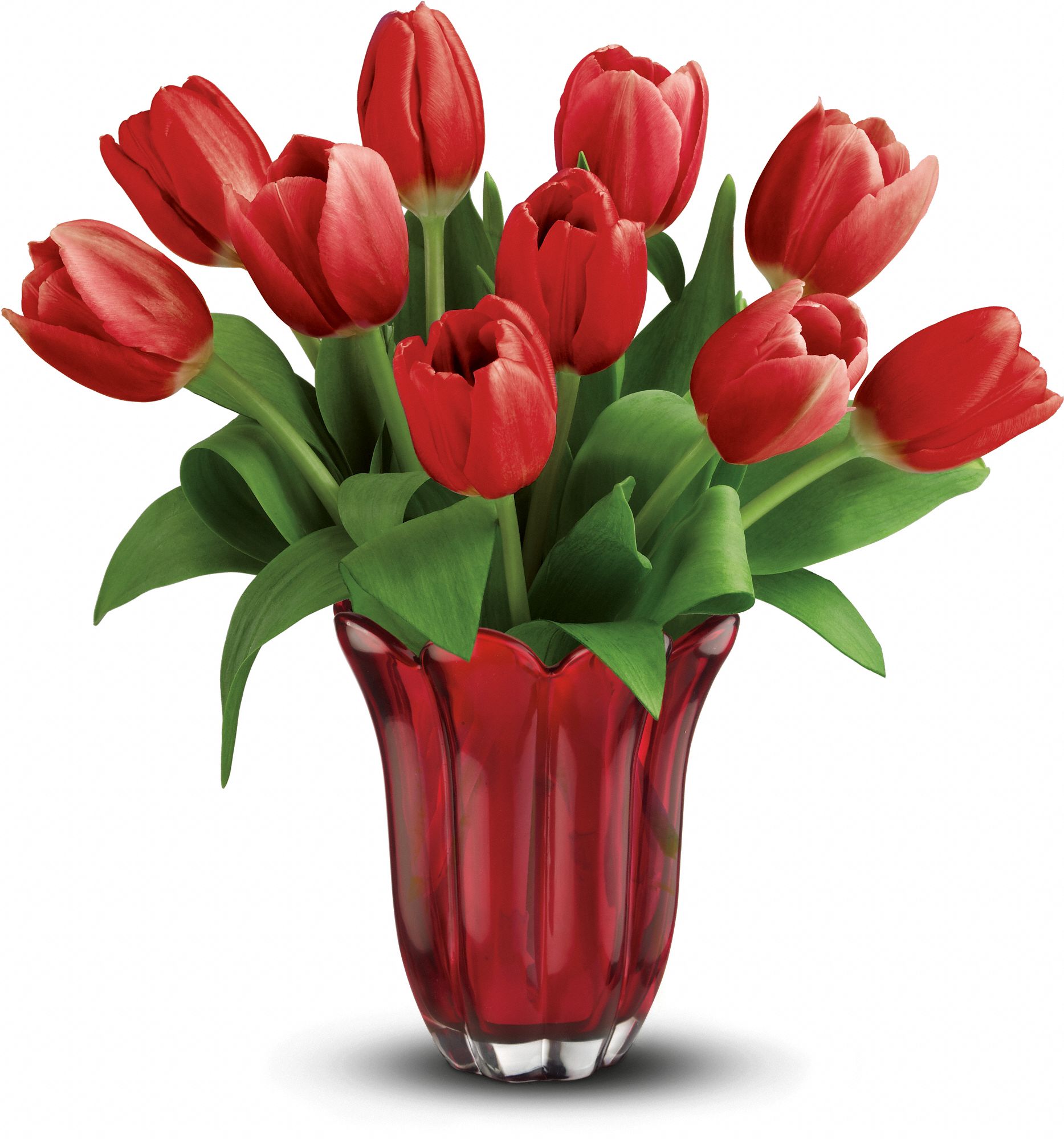 Teleflora's Kissed By Tulips Bouquet Flowers