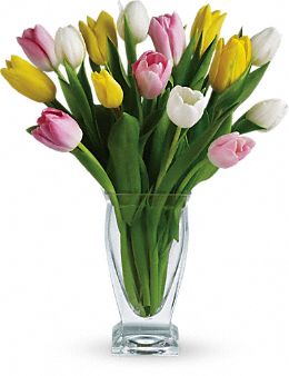 Tulip Bouquet