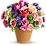 Spring Sonata Flowers