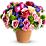 Spring Sonata Flowers