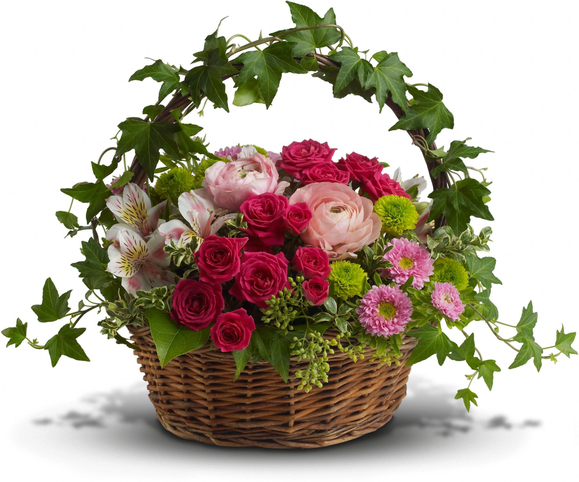 Fairest of All Flowers