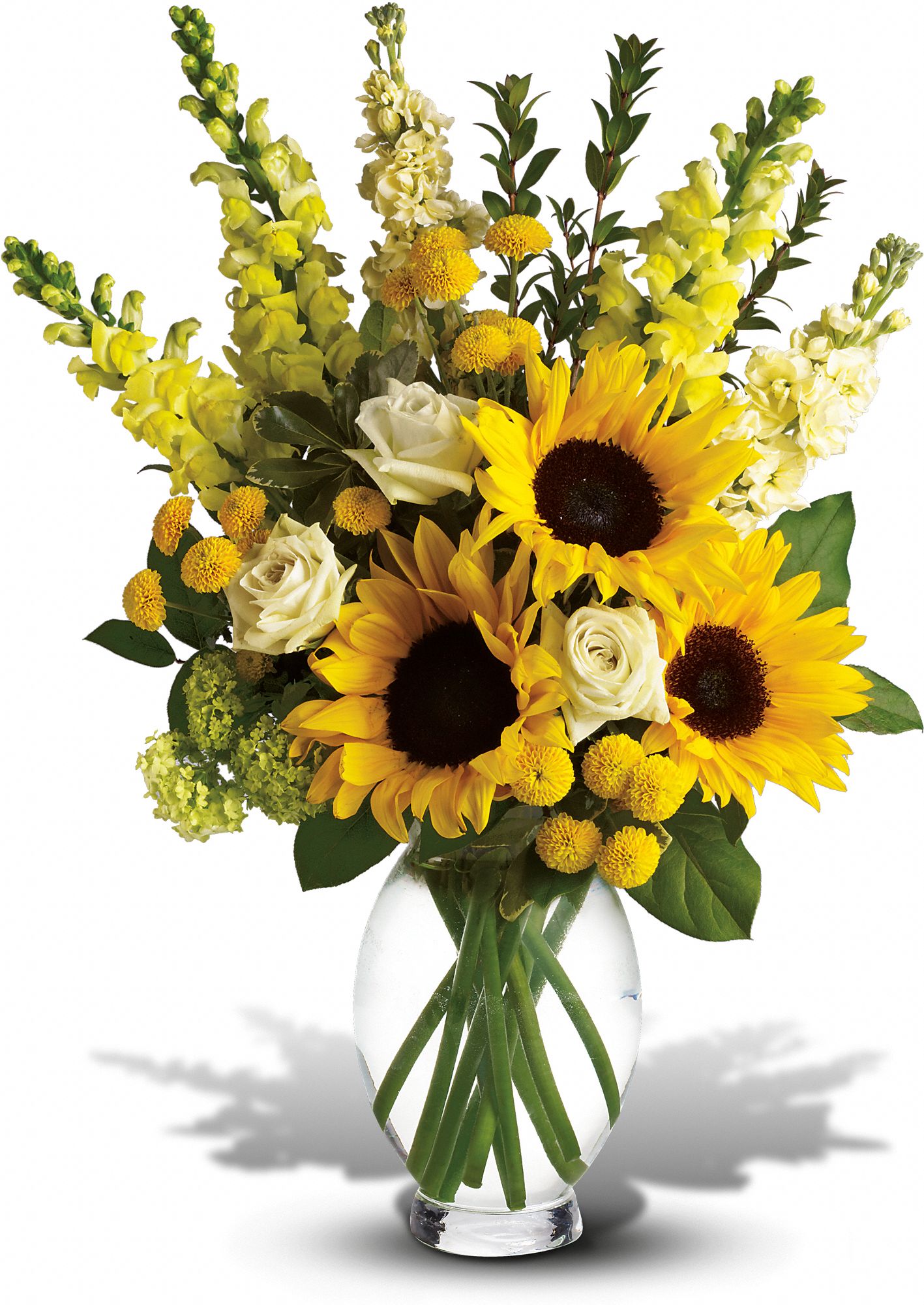 Here Comes The Sun by Teleflora Flowers