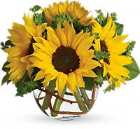 Shop for Sunflowers