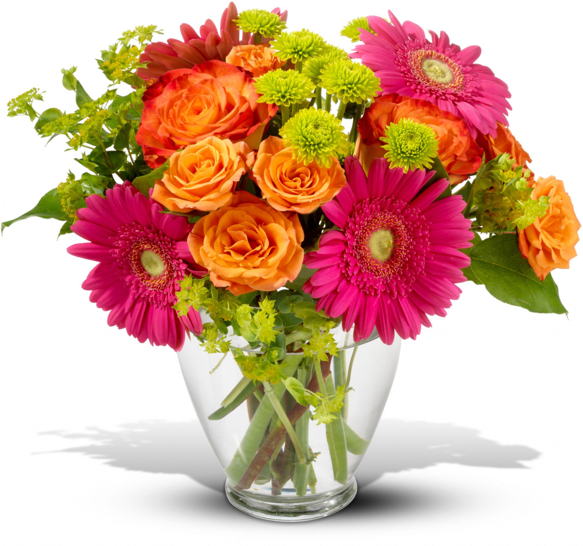 End of the Rainbow Flowers