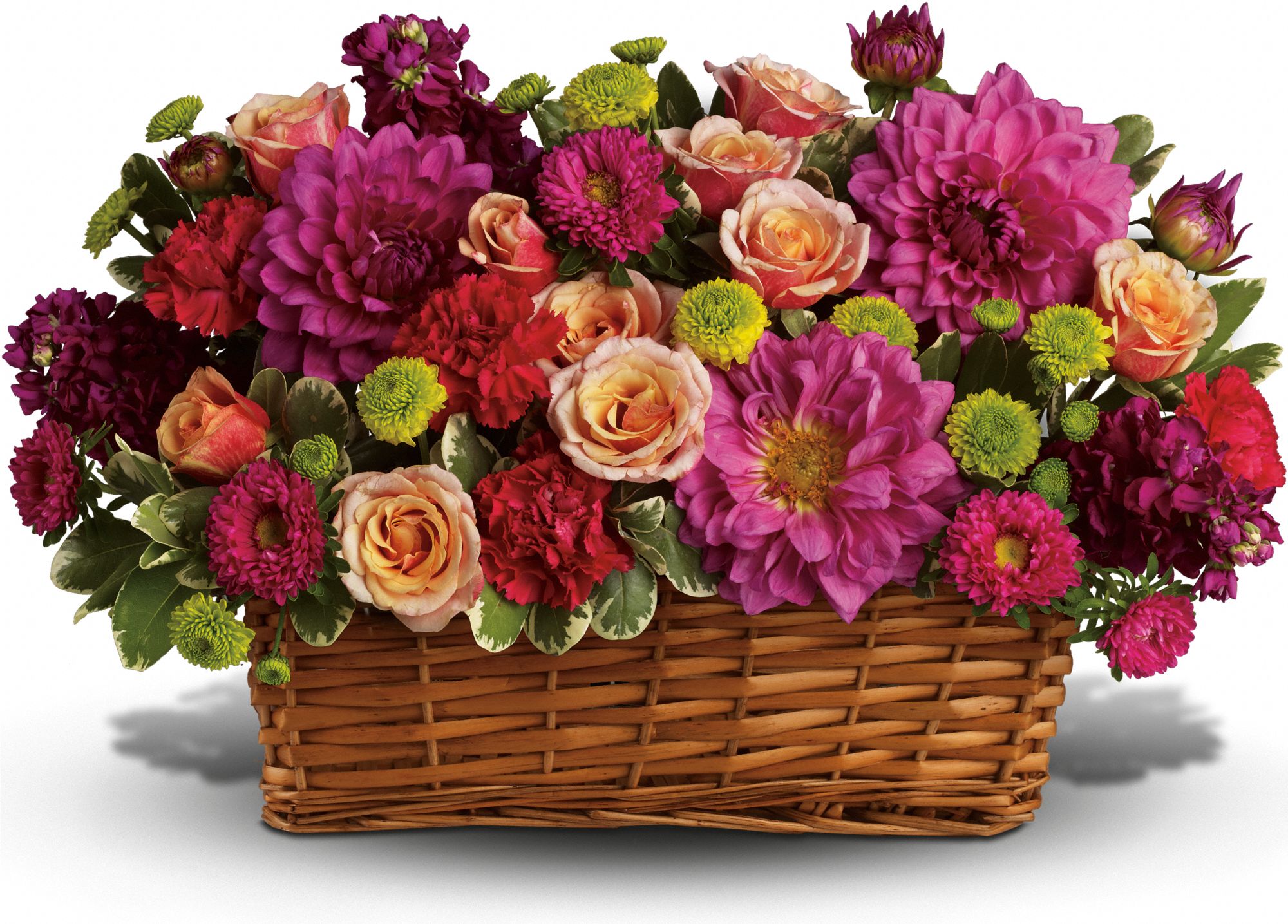 Burst of Beauty Basket Flowers