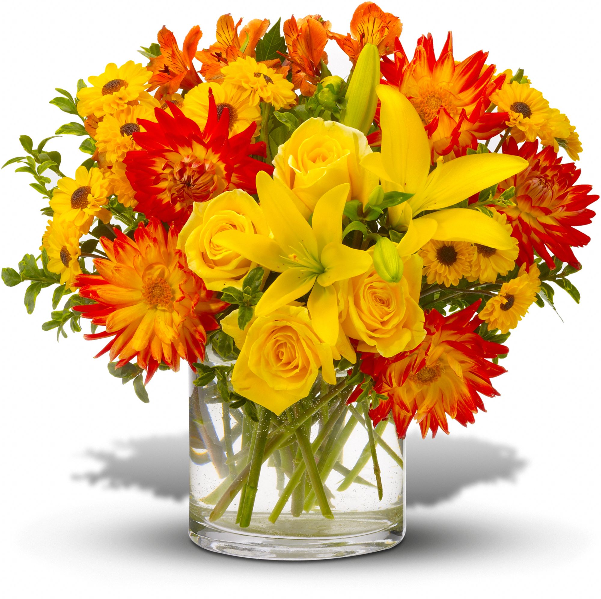 Summer Samba Flowers