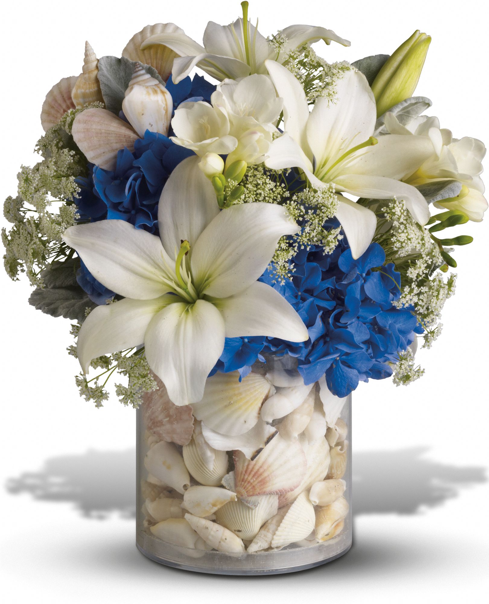 Everything's Beachy by Teleflora Flowers
