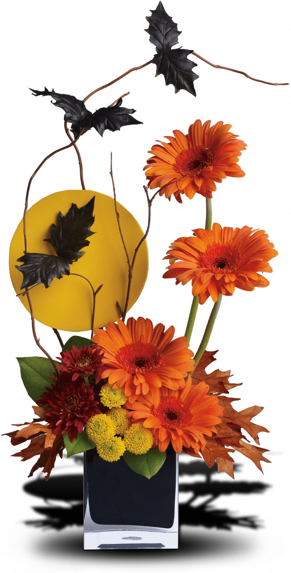 Teleflora's Boo-tiful Bats Flowers