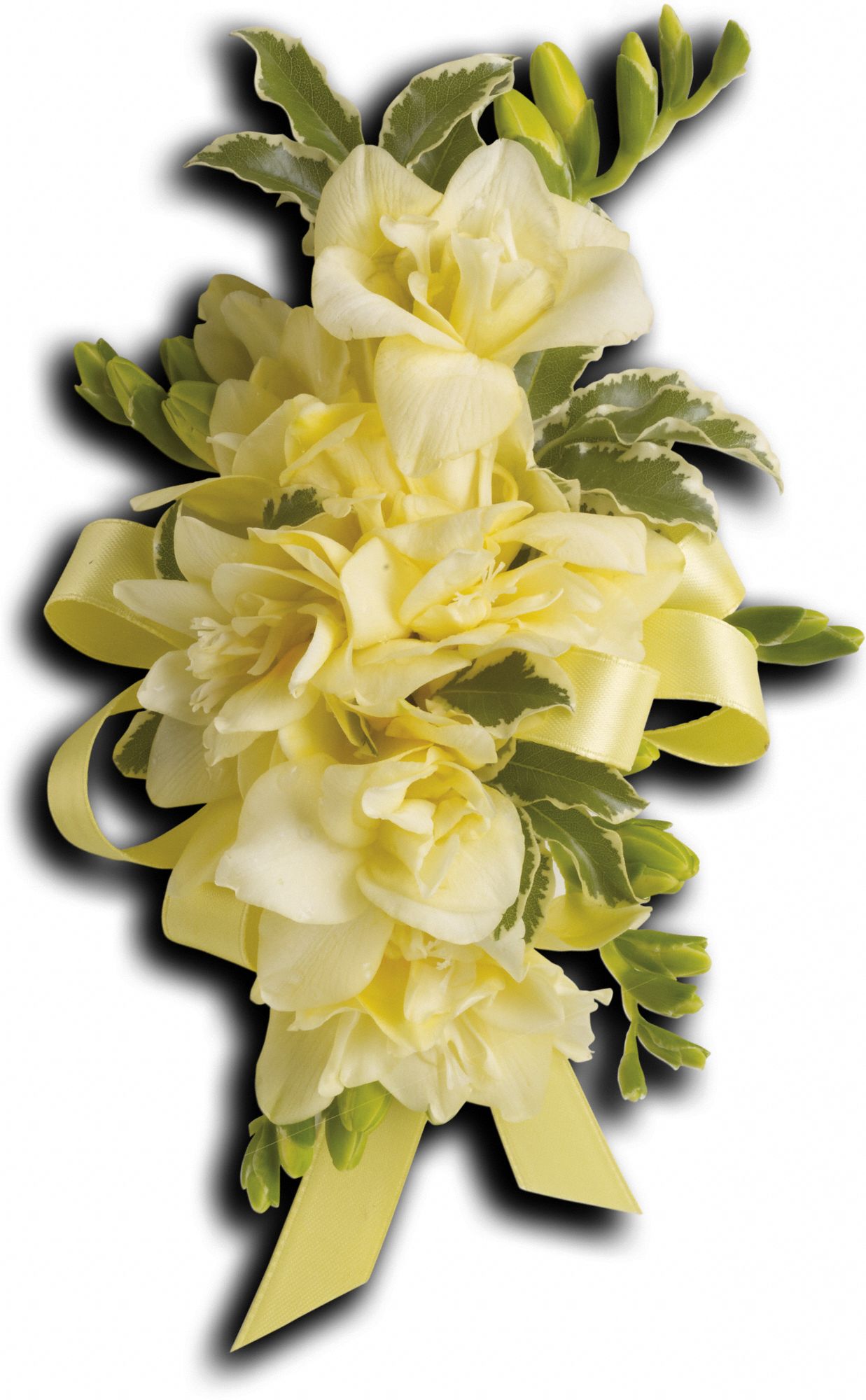 Let Love Shine Corsage Flowers