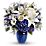 Beautiful in Blue Flowers
