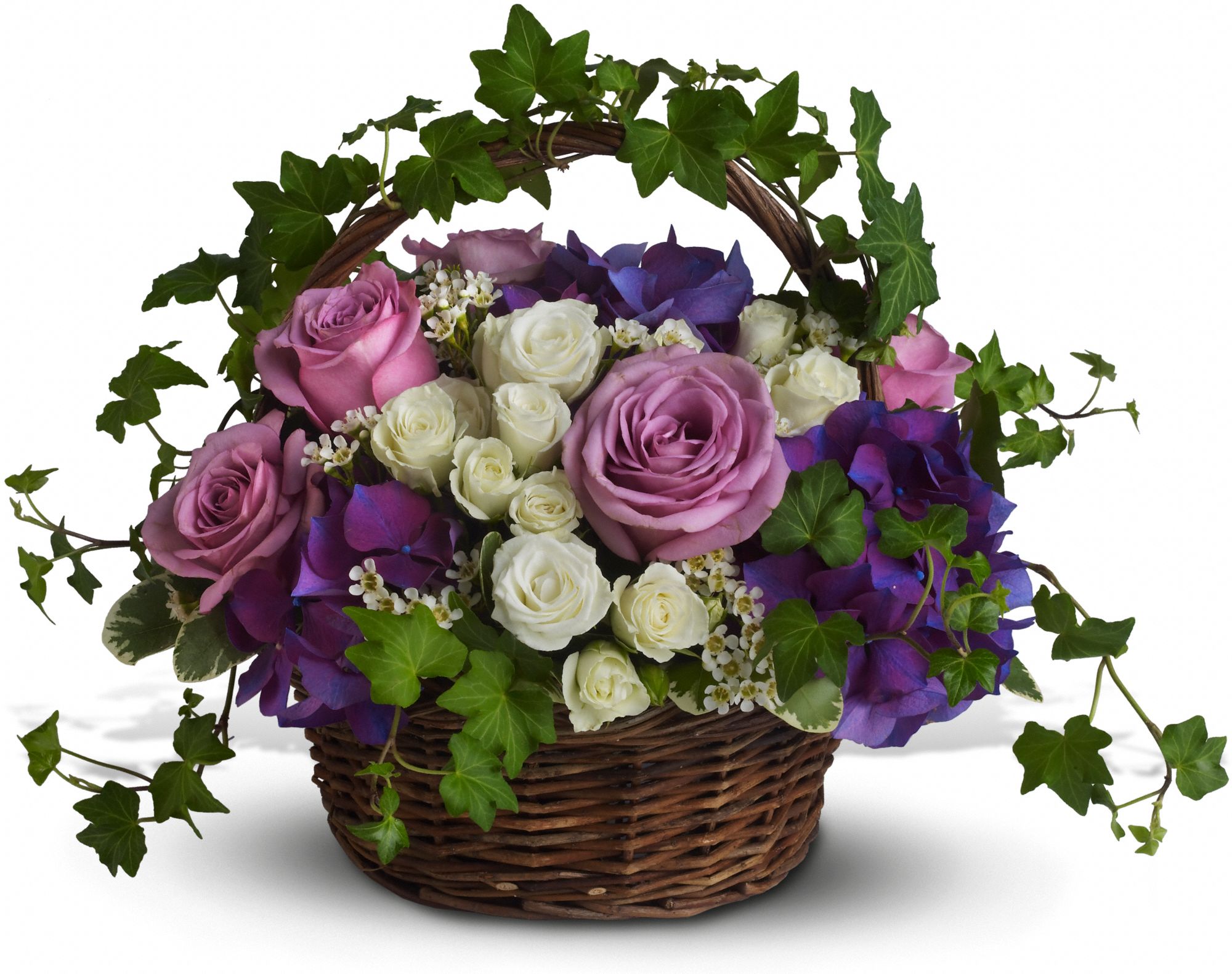 A Full Life Flowers