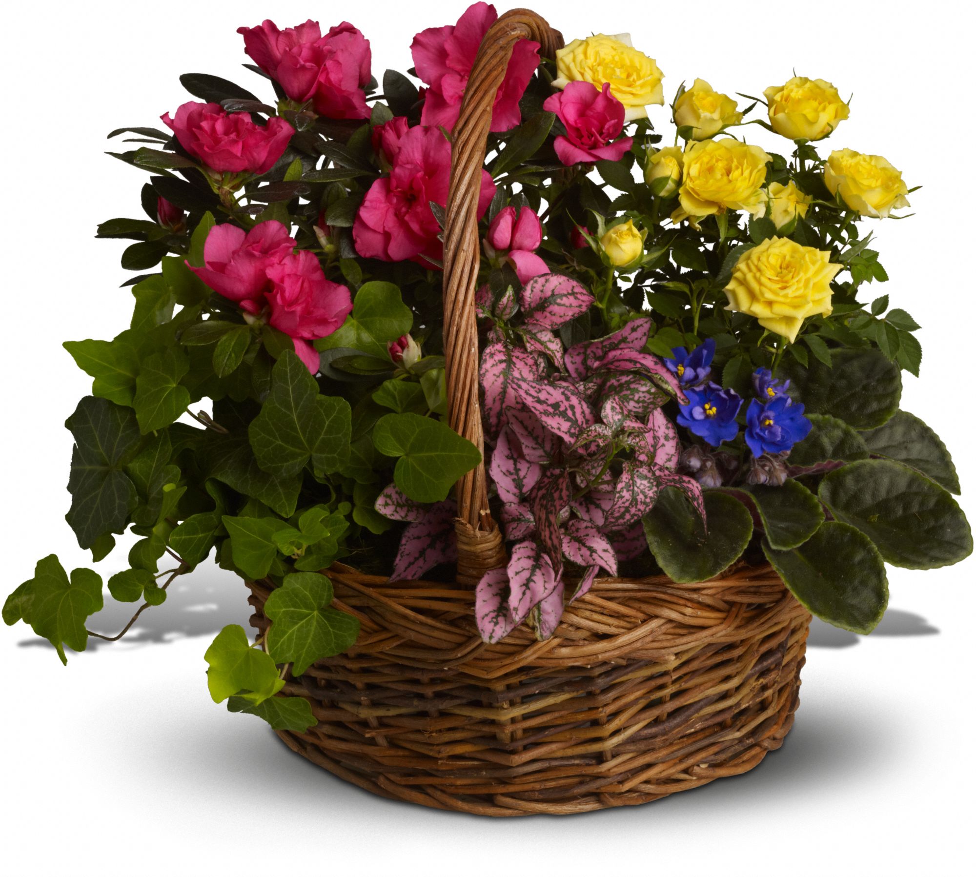 Blooming Garden Basket Flowers