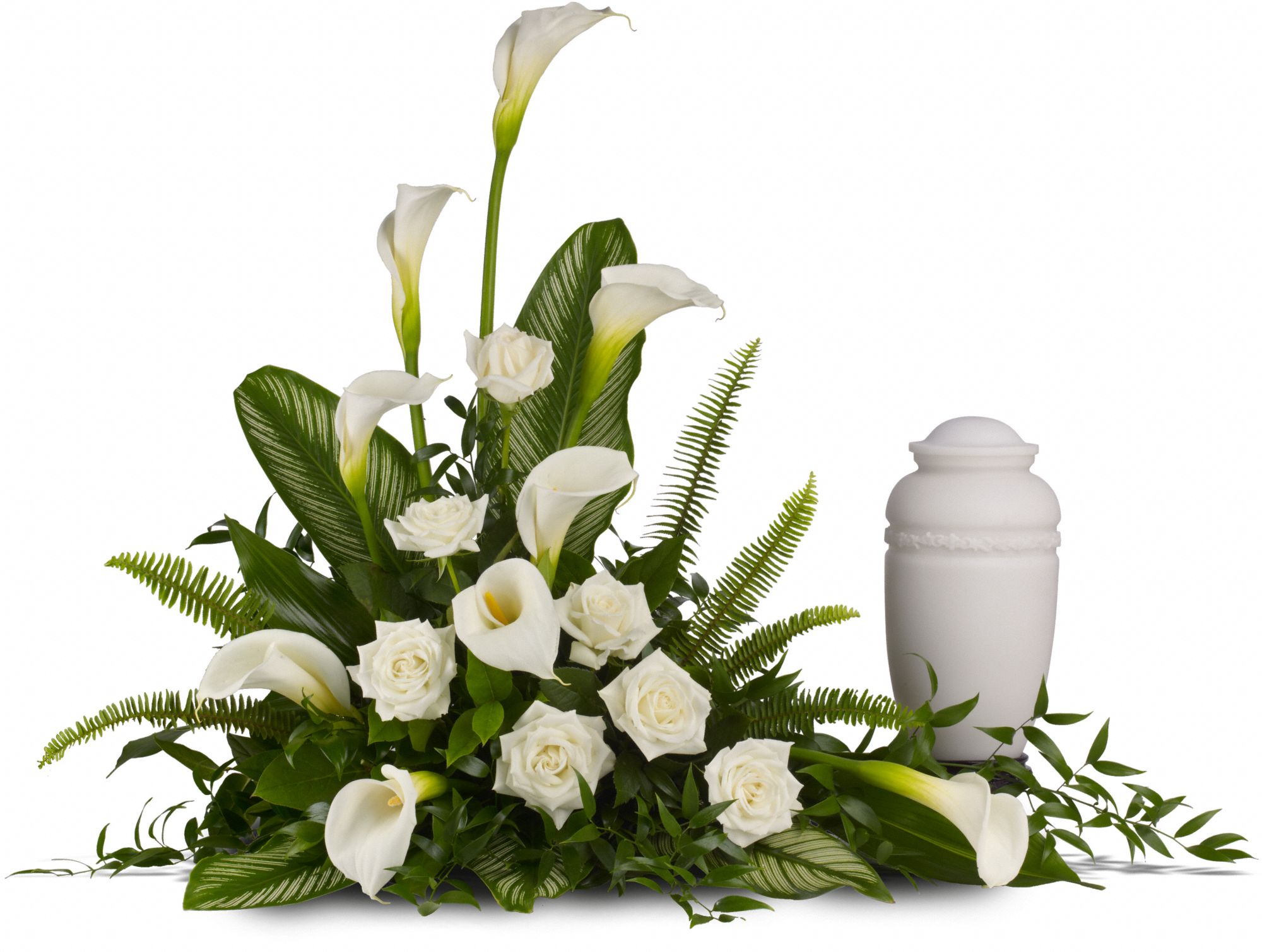 Stately Lilies Flowers
