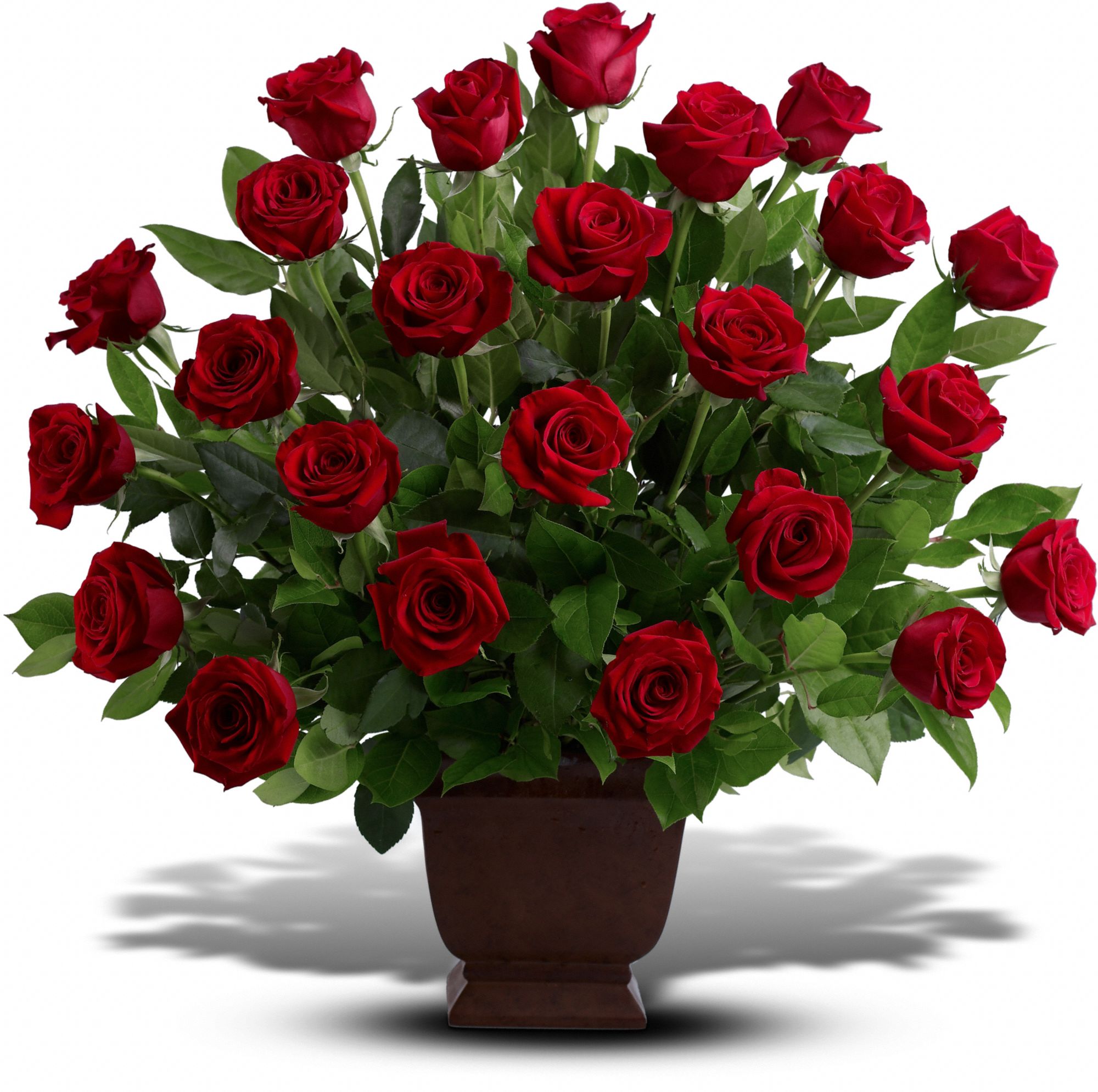 Teleflora's Rose Tribute Flowers