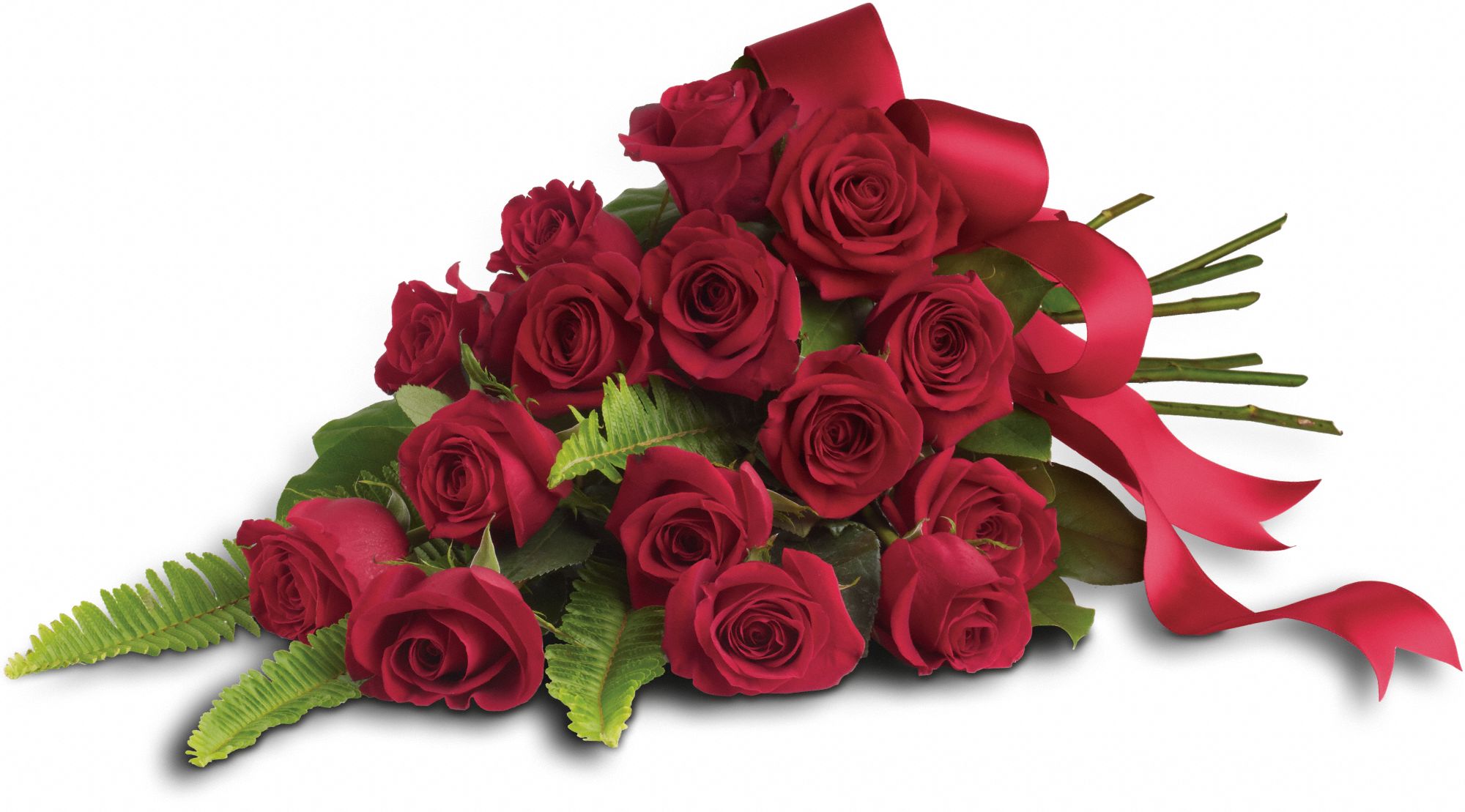 Rose Impression Flowers
