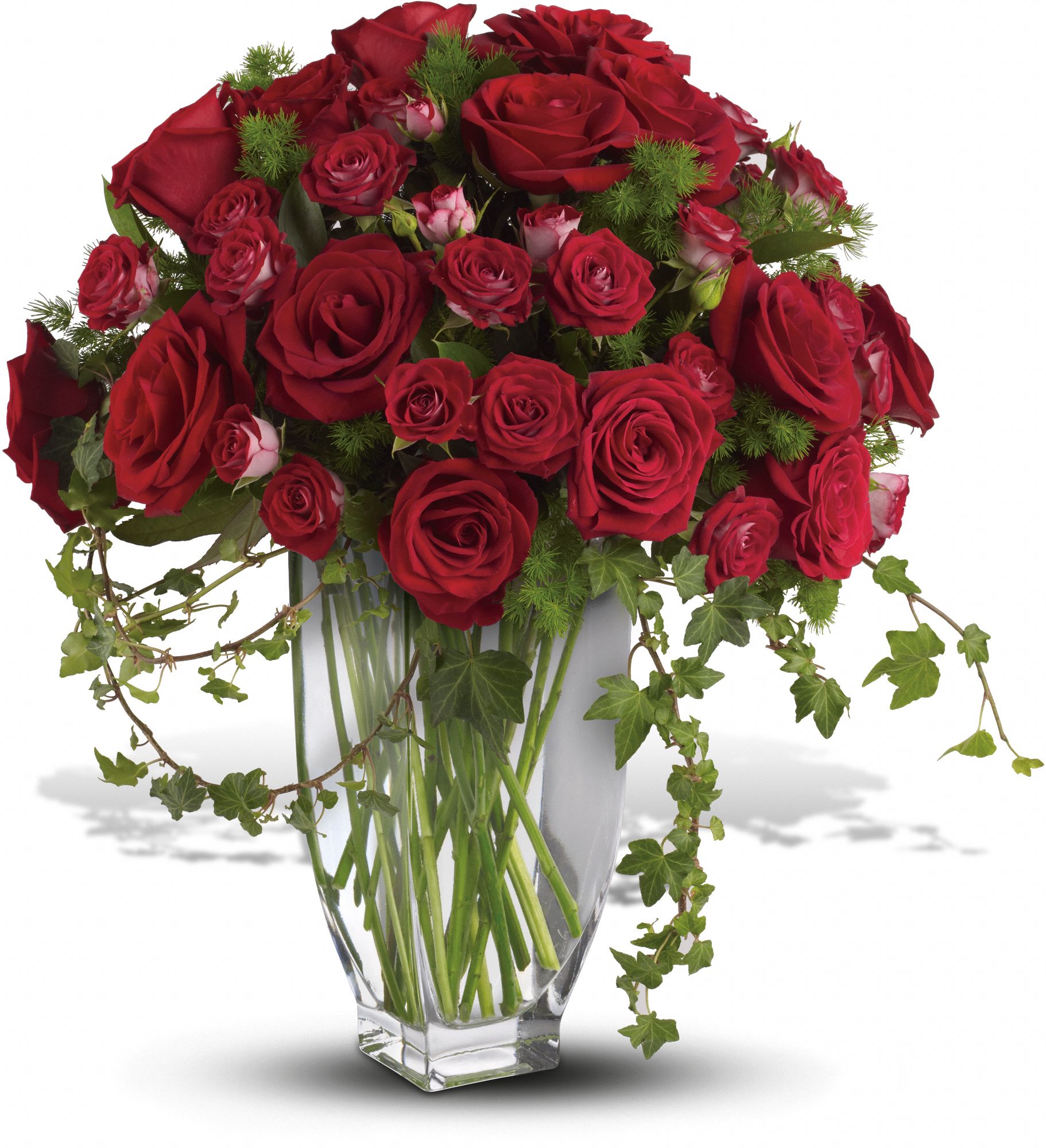 Teleflora's Rose Romanesque Bouquet - Premium Red Roses Flowers