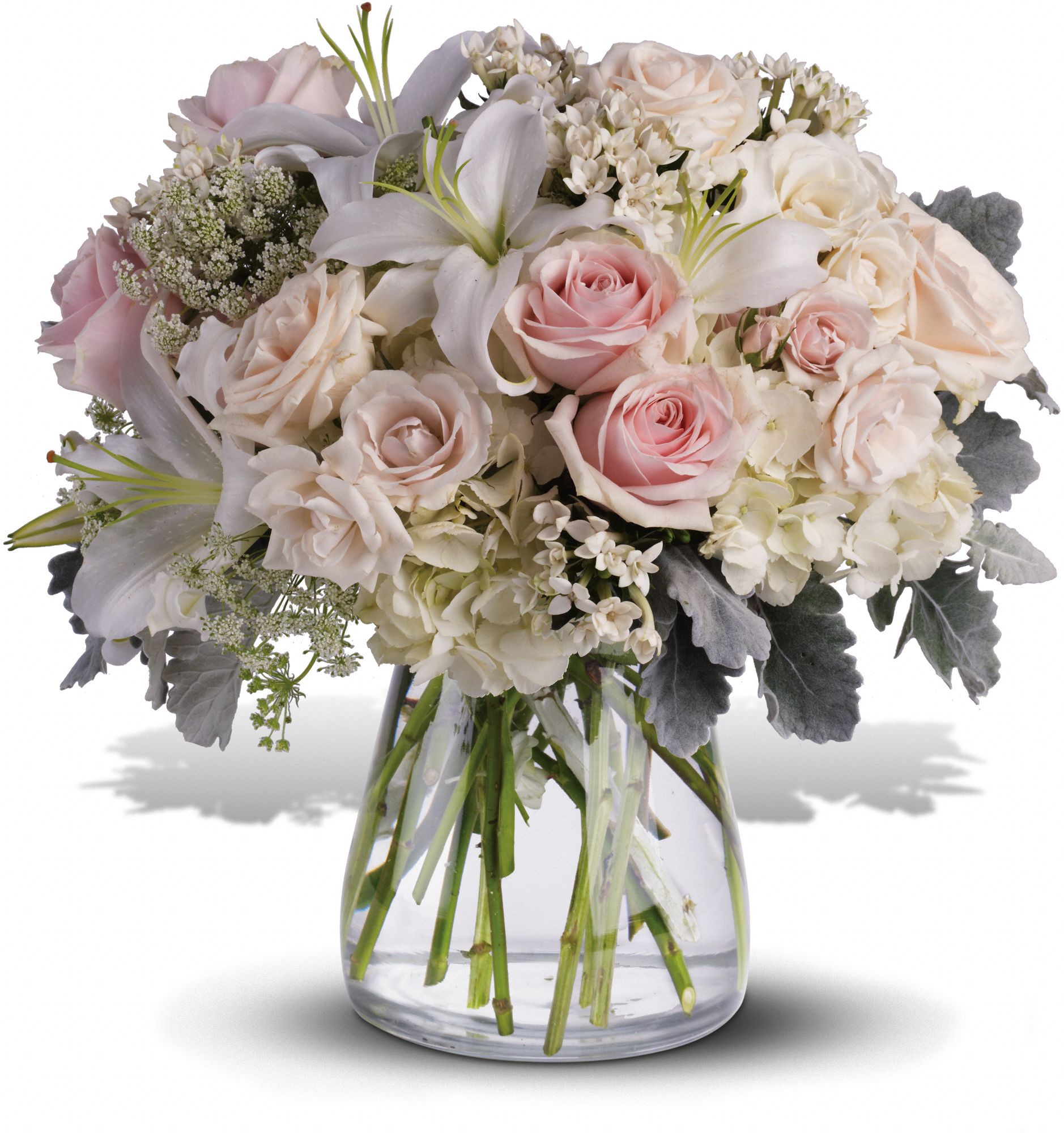 Beautiful Whisper Flowers