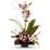 Imagination Blooms with Cymbidium Orchids Flowers