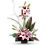 Imagination Blooms with Cymbidium Orchids Flowers