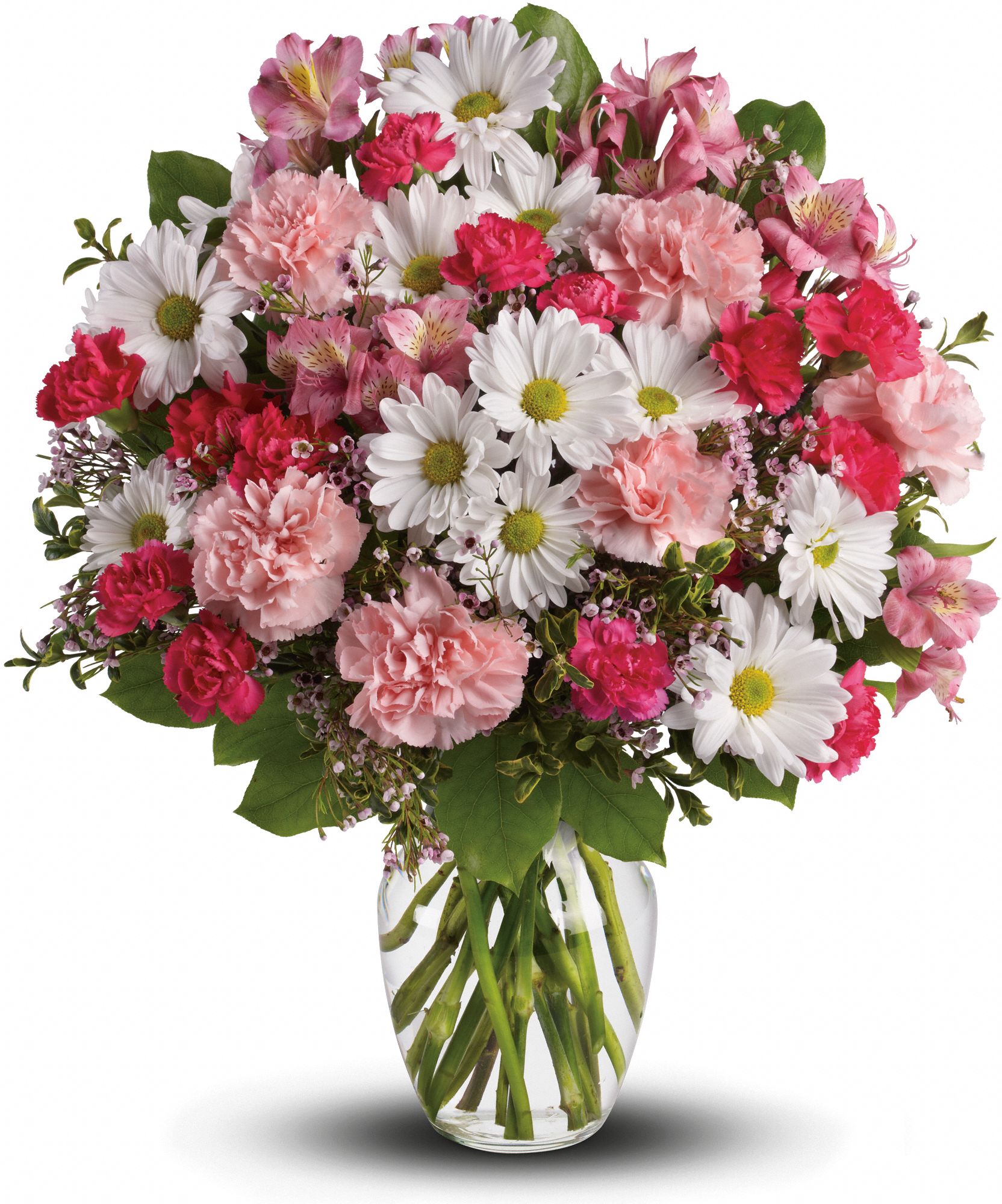 Teleflora's Sweet Tenderness Flowers