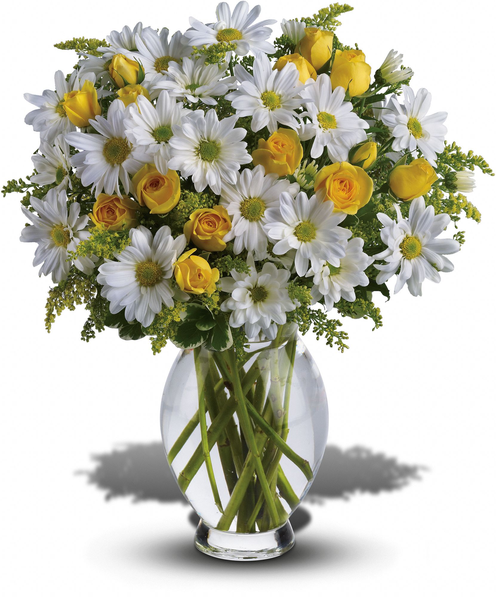 Teleflora's Amazing Daisy Flowers