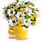 My Little Chickadee by Teleflora Flowers