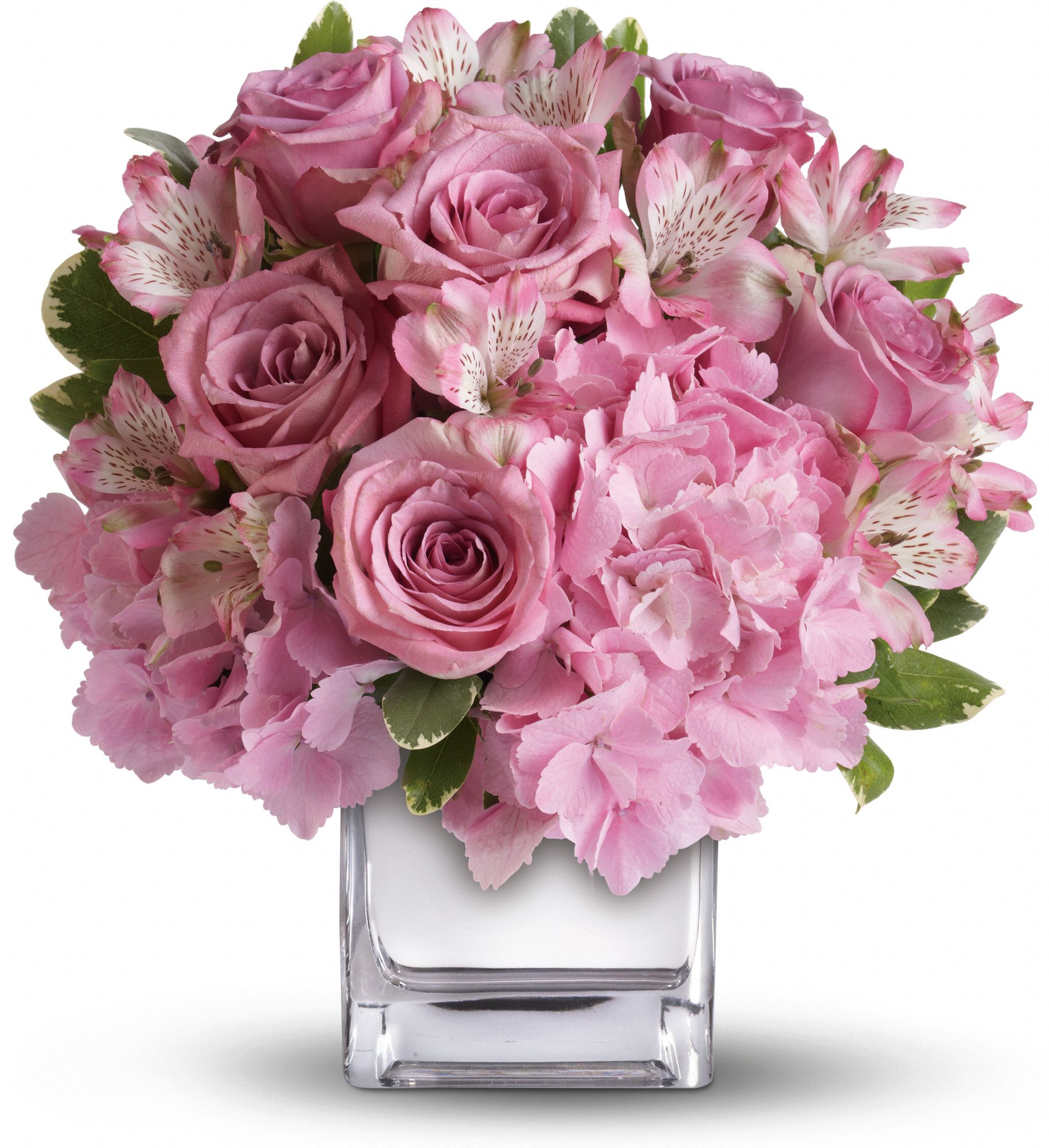 Teleflora's Be Sweet Bouquet Flowers
