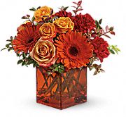 Orange flowers in orange cube vase