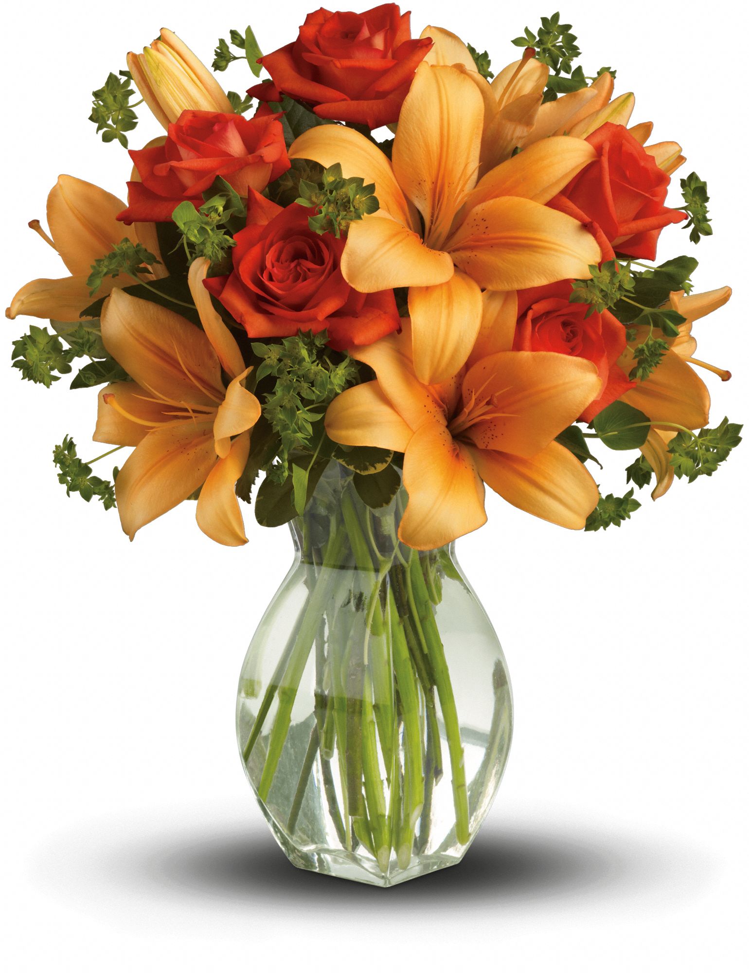 Fiery Lily and Rose Flowers