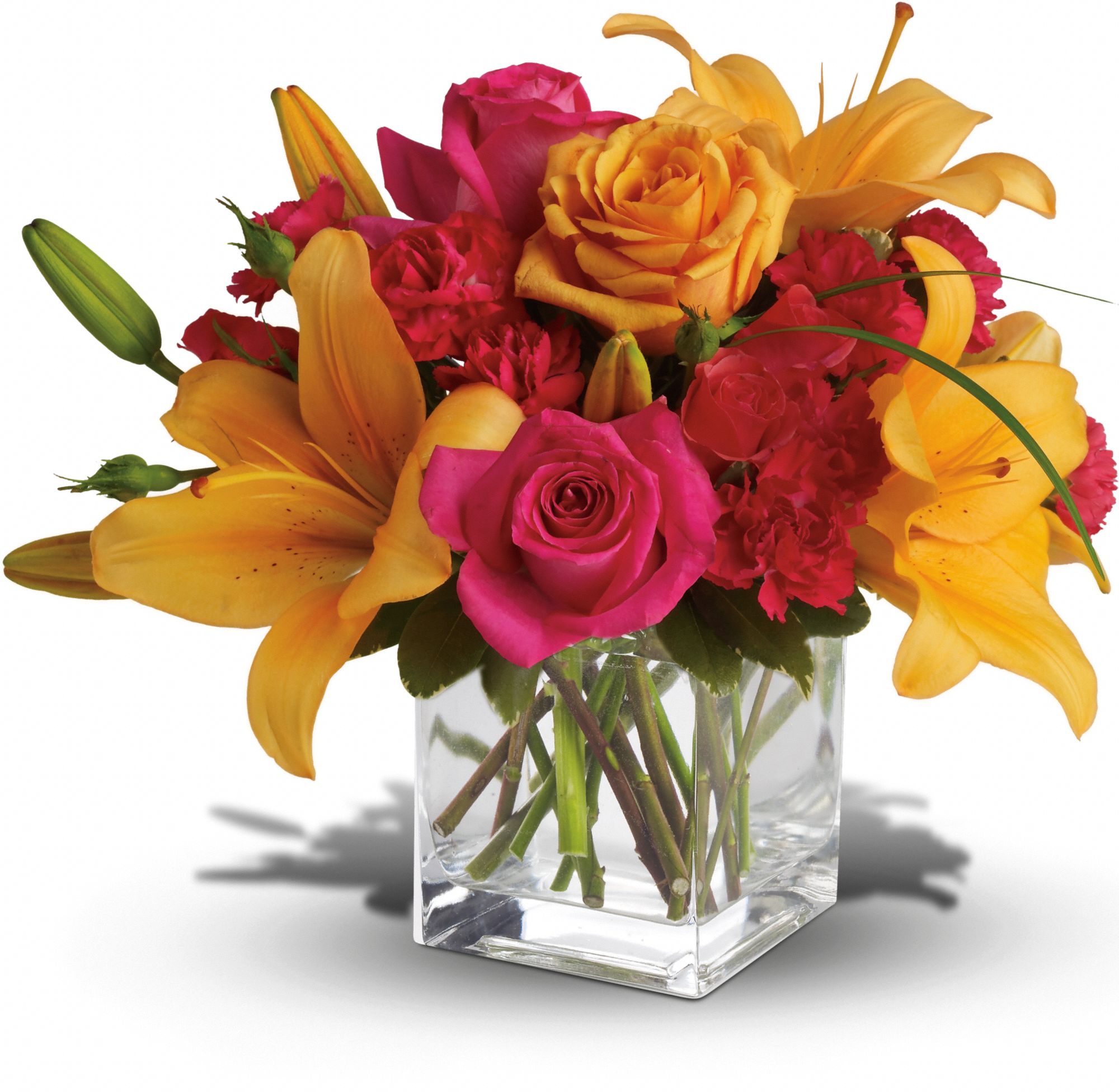 Teleflora's Uniquely Chic Flowers
