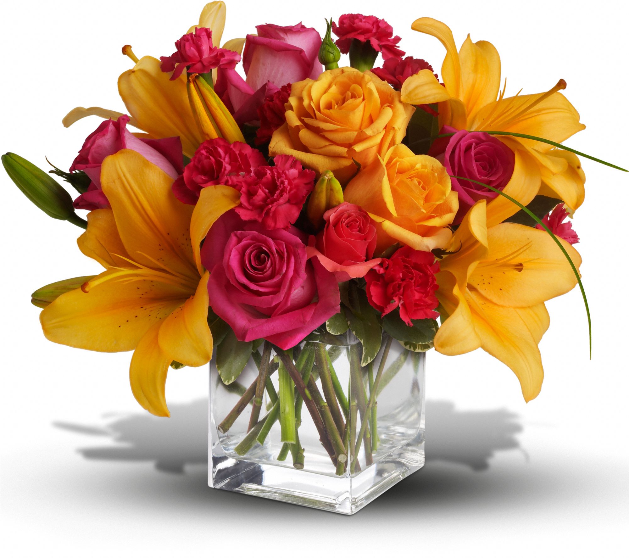 Teleflora's Uniquely Chic Flowers
