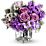 Sweet as Sugar by Teleflora Flowers